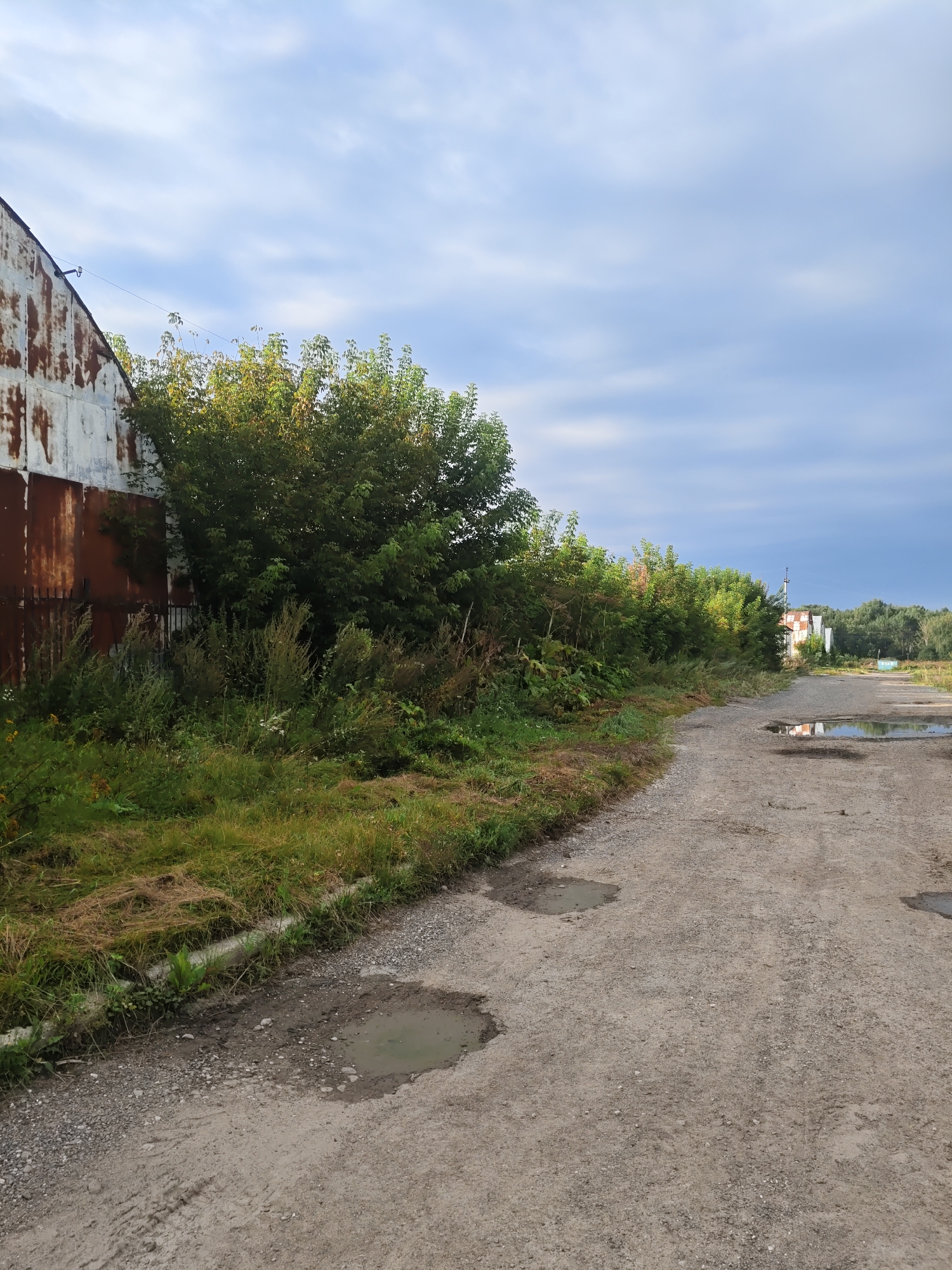 The image depicts a dirt road with several puddles in an industrial or rural area, possibly on the outskirts of Platoschino, Russia. The road is lined with overgrown grass and dense green bushes on the left side, adjacent to a rusty, corrugated metal building. Further down the road, on the right, there are more puddles, and in the distance, two small white buildings with rusted roofs are visible, surrounded by trees. The sky is partly cloudy with blue patches. The scene appears to be unpopulated, with no people or animals present. The overall impression is one of neglect and an undeveloped area.