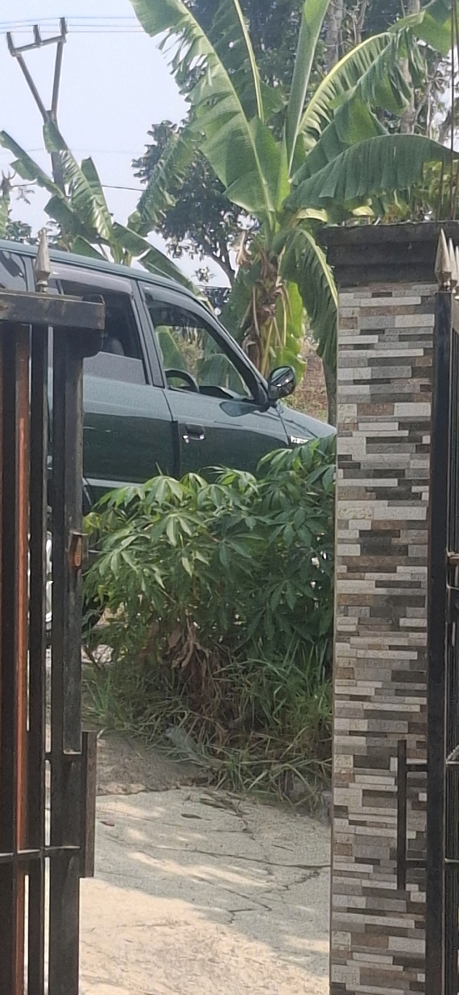 A dark green SUV is parked in front of a brick pillar and a metal gate in Cibinong Hilir, Indonesia. The SUV is mostly obscured by lush green foliage, including banana trees and other plants. The gate is partially open, revealing a glimpse of the vehicle. The ground is a mix of dirt and cracked pavement, with shadows from the trees cast across it. The sky is visible in the background, a pale blue with no clouds. There are no people visible in the image. The scene appears to be a residential or semi-rural area.