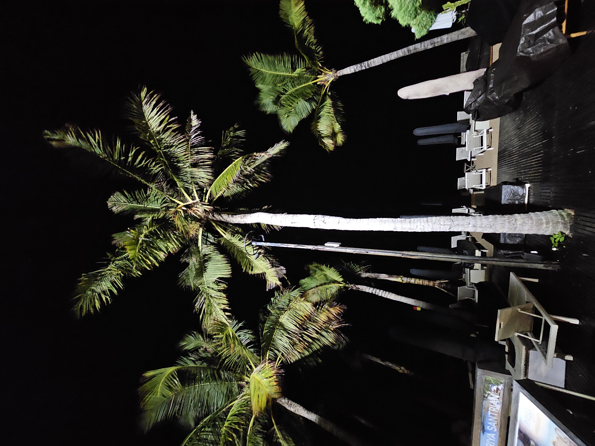 This is a low-light, wide-angle photograph of a beachfront resort area at night, likely in Denpasar, Indonesia, given the prominent palm trees and lounge chairs often found in such locations. The scene is dominated by several tall palm trees with their fronds illuminated from below, creating a dramatic effect against the dark night sky. In the foreground, a wooden deck is visible with several empty lounge chairs and closed umbrellas. A sign that reads "RIYA SANTRIAN" is partially visible on the left, suggesting the name of the resort. There are no people present in the image. The overall atmosphere is tranquil and empty, indicating a quiet evening at the resort.