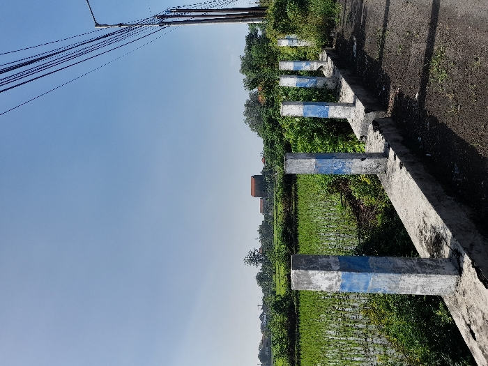 The image shows a partially sunny landscape. A low wall with regularly spaced, concrete pillars marked with blue paint runs along the right edge. A field of lush green vegetation stretches out beyond the wall. A glimpse of a red-roofed building can be seen in the distance. Overhead power lines are visible against a clear blue sky, partially obscuring the top left corner of the picture.