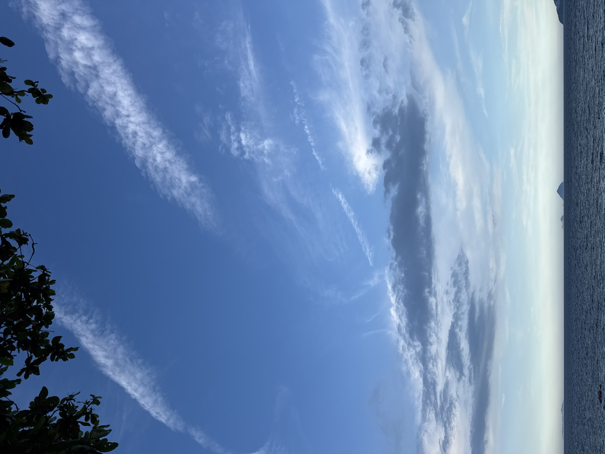 The media file shows a wide shot of the sky over the ocean. The sky is a vibrant blue with scattered white clouds. The clouds are wispy and elongated, suggesting movement by the wind. Some clouds are thin and feathery, while others are thicker and more textured, with darker gray hues indicating greater density or shadow.
In the lower left corner, a portion of a tree with dark green leaves is visible, silhouetted against the bright sky. The tree branches extend into the frame, adding a natural foreground element.
The horizon line is visible on the right side of the image, separating the sky from the ocean. The ocean is a deep blue and appears calm, with a subtle texture of ripples. In the far distance, faint outlines of landmasses or islands can be seen along the horizon, possibly mountains or hills. The sky transitions to a lighter, hazy blue closer to the horizon, indicating a bright, possibly sunny day.
The overall impression is of a serene natural scene, likely captured during daylight hours, given the brightness of the sky. The presence of the tree and the ocean suggests an outdoor setting, possibly a coastal area or a beach. There are no people or text visible in the image. The weather appears to be clear with some cloud cover. The image is oriented vertically, with the sky occupying the majority of the frame.