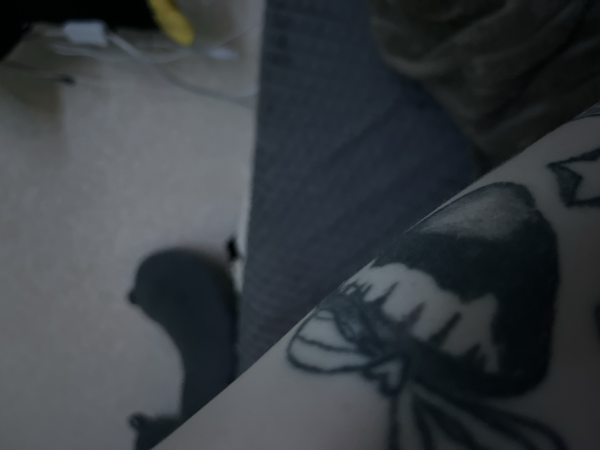 An arm with a tattoo is visible in the foreground, extending diagonally into the frame from the bottom left. The tattoo appears to be dark and detailed, with shading and outlines of what could be a face or figure. The arm is pale. In the background, a dark gray blanket or sofa is visible, with a grey plush toy resembling a seal or whale positioned on it. Further back, there is a wall with some electrical cords and a yellow object, possibly a light. The lighting is dim and ambient. The scene is indoors, with no discernible city or location information.