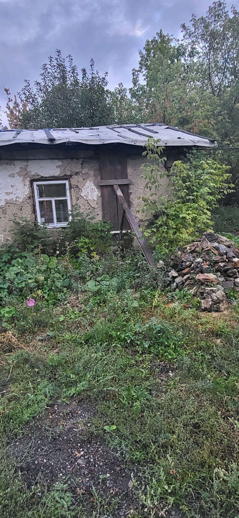 The image shows a dilapidated small structure, possibly a shed or an outbuilding, with a weathered, grey, corrugated metal roof. The walls appear to be constructed of rough, textured plaster, with areas of damage revealing the underlying material. There is a single, small white-framed window with multiple panes on the left side of the structure. To the right of the window, there is a wooden door with vertical planks, secured by what looks like a metal bar or prop.
The structure is surrounded by overgrown vegetation. In the foreground, there is a patch of dark gravelly ground with green weeds and plants growing through it. To the left, in the mid-ground, a small pink flower is visible amidst the greenery. A pile of rough stones and rocks is situated to the right of the structure. Lush green trees with dense foliage form a backdrop, and the sky above is overcast with grey clouds.
The scene suggests an outdoor, rural or semi-rural setting, likely in the city of Oskemen, Kazakhstan, given the provided context. The overall impression is one of neglect and age. There are no people or animals visible in the image. The lighting suggests it is daytime, but the overcast sky creates a muted, subdued atmosphere. The image is captured from a medium distance, providing a full view of the structure and its immediate surroundings.