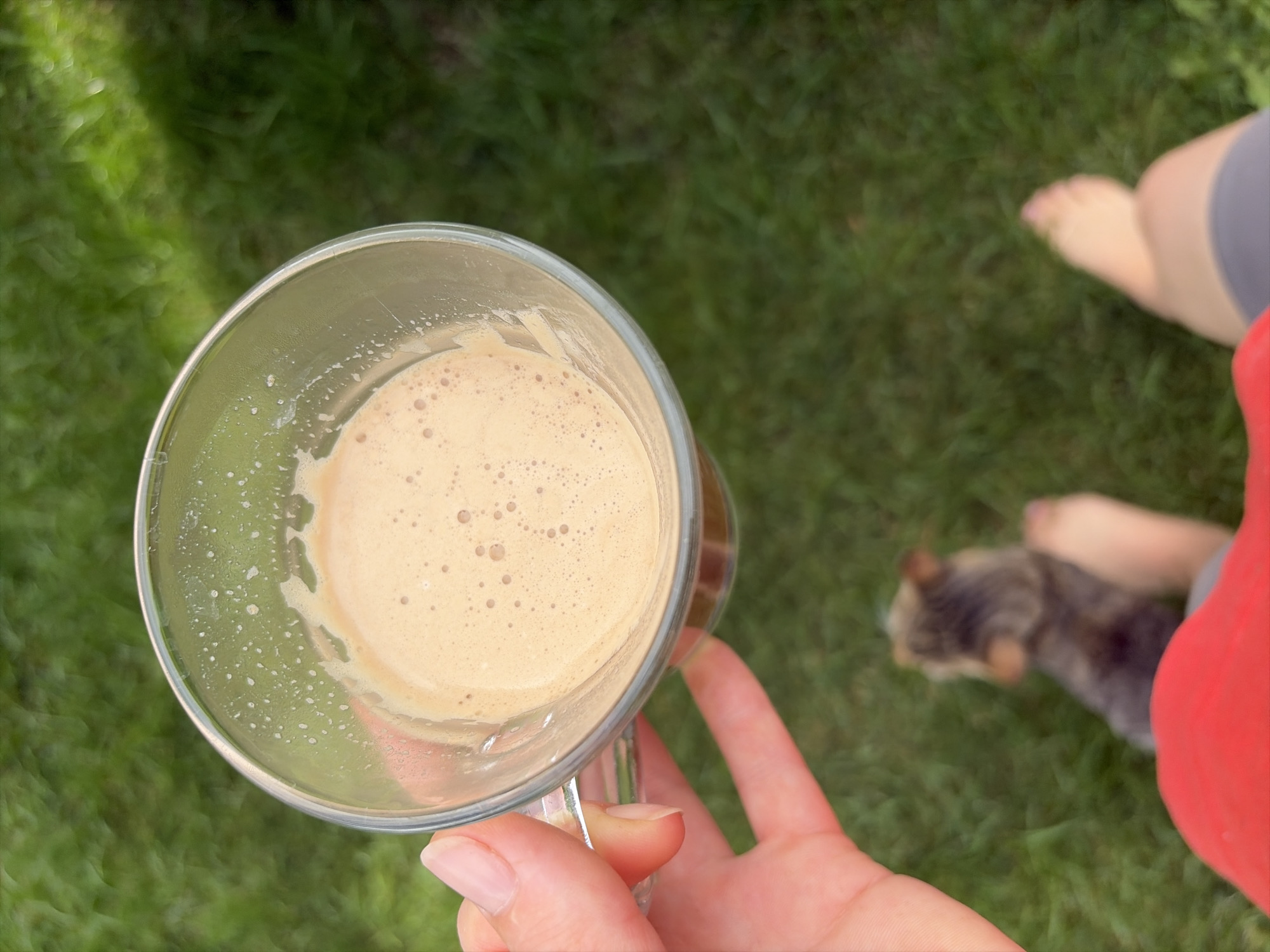 A hand holds a clear glass mug filled with a frothy, light brown liquid, possibly coffee or tea, against a backdrop of green grass. The mug's rim has small droplets of the liquid. In the lower portion of the image, a blurry, small, dark-haired dog sits on the grass. To the right, a bare foot is visible, also on the grass. The scene appears to be outdoors, likely in a backyard or park. The city of Oxentea, Moldova, is not identifiable from the visual elements in this image.