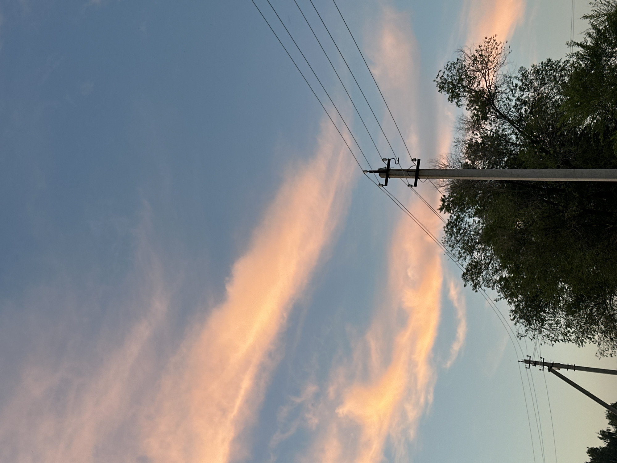 The image depicts a twilight sky over an outdoor, semi-rural setting. The sky is a gradient of light blue to a paler hue near the horizon, with wispy clouds tinged with pink and orange, indicative of sunset or sunrise. In the foreground, silhouetted against the sky, are power lines supported by utility poles. One prominent concrete utility pole is centrally located, with several wires stretching horizontally across the frame. To the right of this pole, a dense cluster of green trees is visible, with branches reaching upwards. Another utility pole, constructed of wood, is visible in the lower left corner, with wires extending upwards and to the right. The overall scene is tranquil, with no people or discernable human activity. The location appears to be on the outskirts of a city or in a rural area, given the presence of utility infrastructure and vegetation.