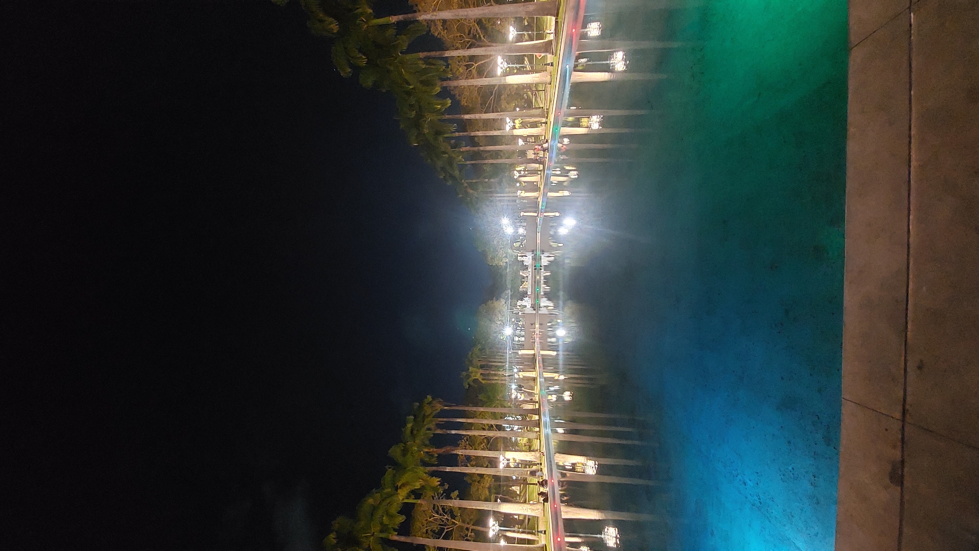 The image depicts a nighttime scene in what appears to be Caracas, Venezuela. It shows a row of tall palm trees illuminated by streetlights, reflecting on a body of water. On the right edge of the picture, there is a view of a concrete path. The sky is dark, and the reflection on the water creates a symmetrical effect with the illuminated trees and lights.