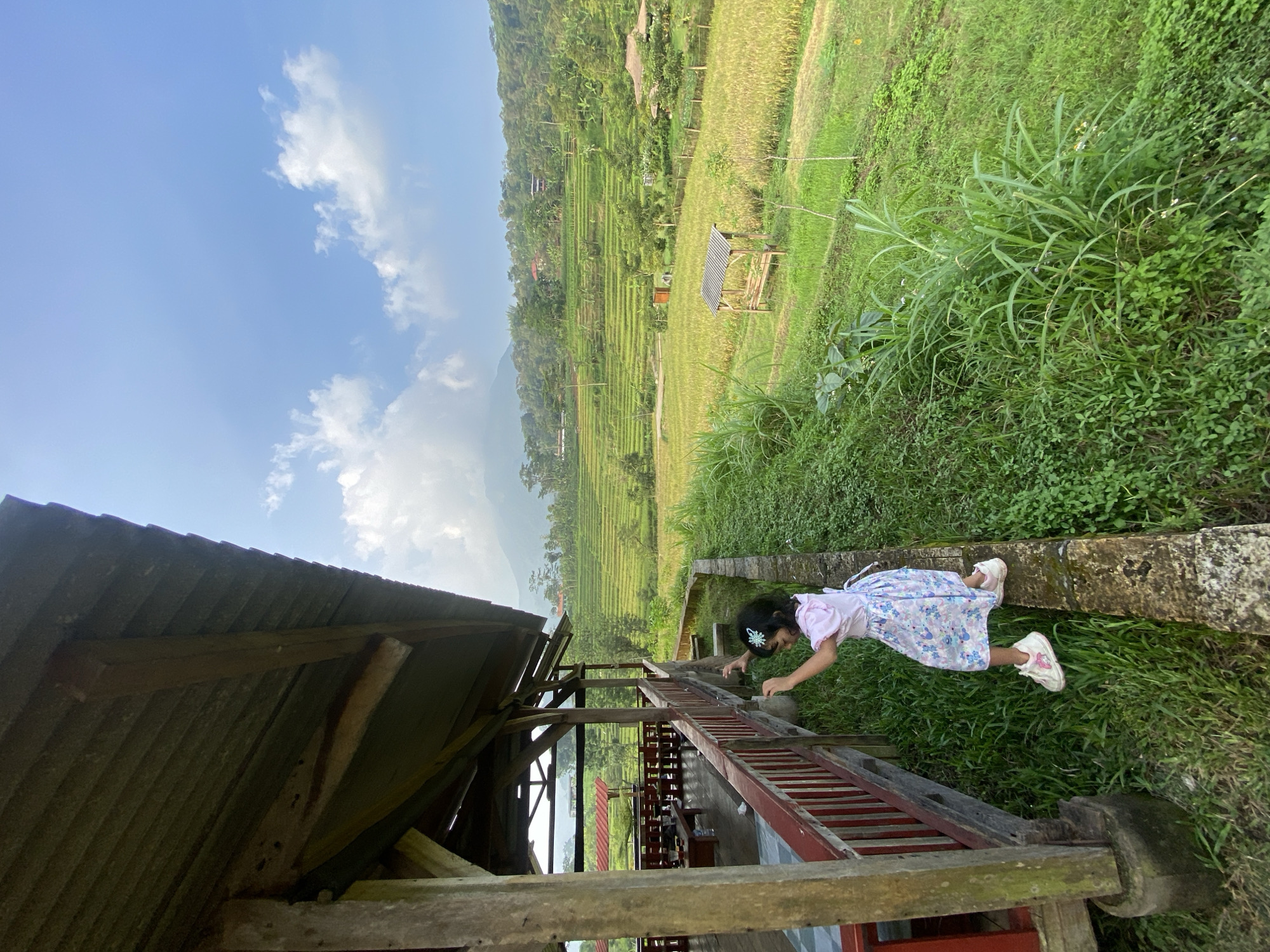 A photograph taken in Penanggungan, Indonesia, presents a landscape featuring a young girl situated on a ledge of a building overlooking a verdant rice paddy field. The girl is dressed in a light-colored floral dress, light pink long sleeved shirt and white sneakers, and appears to be looking at or reaching for something below. She is wearing a flower hair clip. The building is a wooden structure with a red railing, partially covered by a corrugated metal roof. In the background, a terraced rice field stretches into the distance, punctuated by a small wooden hut. Lush green vegetation surrounds the buildings and the field, and the sky above is blue with scattered clouds.