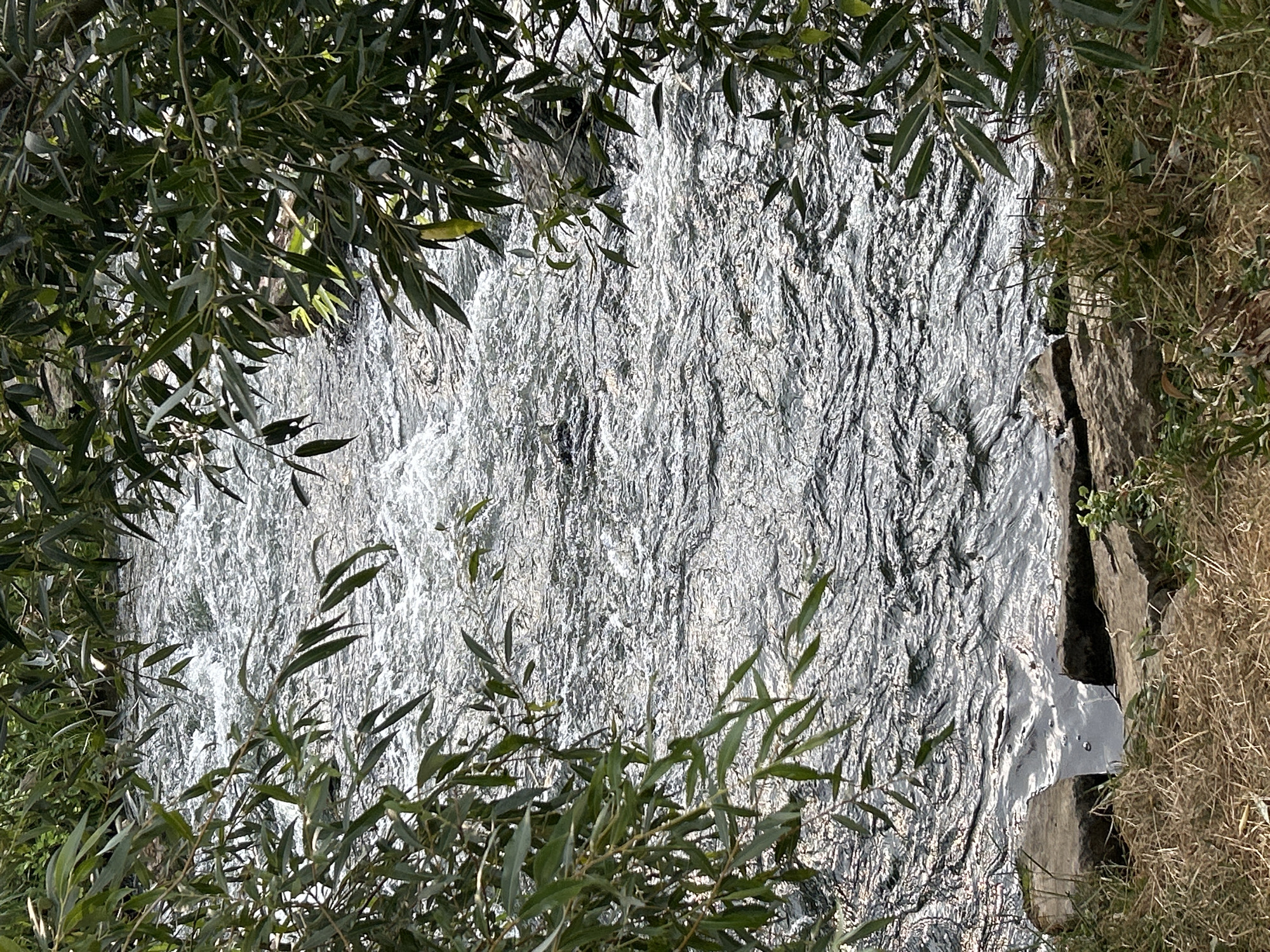 The image shows a section of a shallow, fast-flowing river or stream, viewed from a slightly elevated perspective. The water is a mixture of bright highlights and dark shadows, indicating a sunlit day with a turbulent surface. Branches and leaves from overhanging trees frame the scene from the top and sides, casting some shadows on the water and the surrounding bank. The riverbed appears to be rocky, with several large, flat stones visible at the edge of the water in the foreground. Dry grass and some green vegetation cover the bank. There are no people or animals visible in the image. The scene appears to be a natural setting, likely a park or a riverbank within a more urban environment.