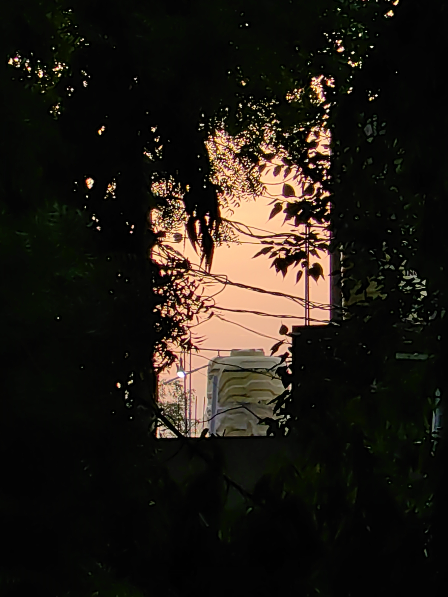 The image captures a view through a dense foliage of dark green leaves and branches, creating a natural frame. Through this frame, a building with horizontal ribbed cream-colored sections is visible against a hazy peach-colored sky. Power lines crisscross the sky, and a street lamp with a white circular light fixture is visible to the left of the building. The scene is likely an urban or suburban environment in Mhaiswadi, India, possibly at dusk or dawn given the lighting conditions and the color of the sky. No people or animals are present in the frame.