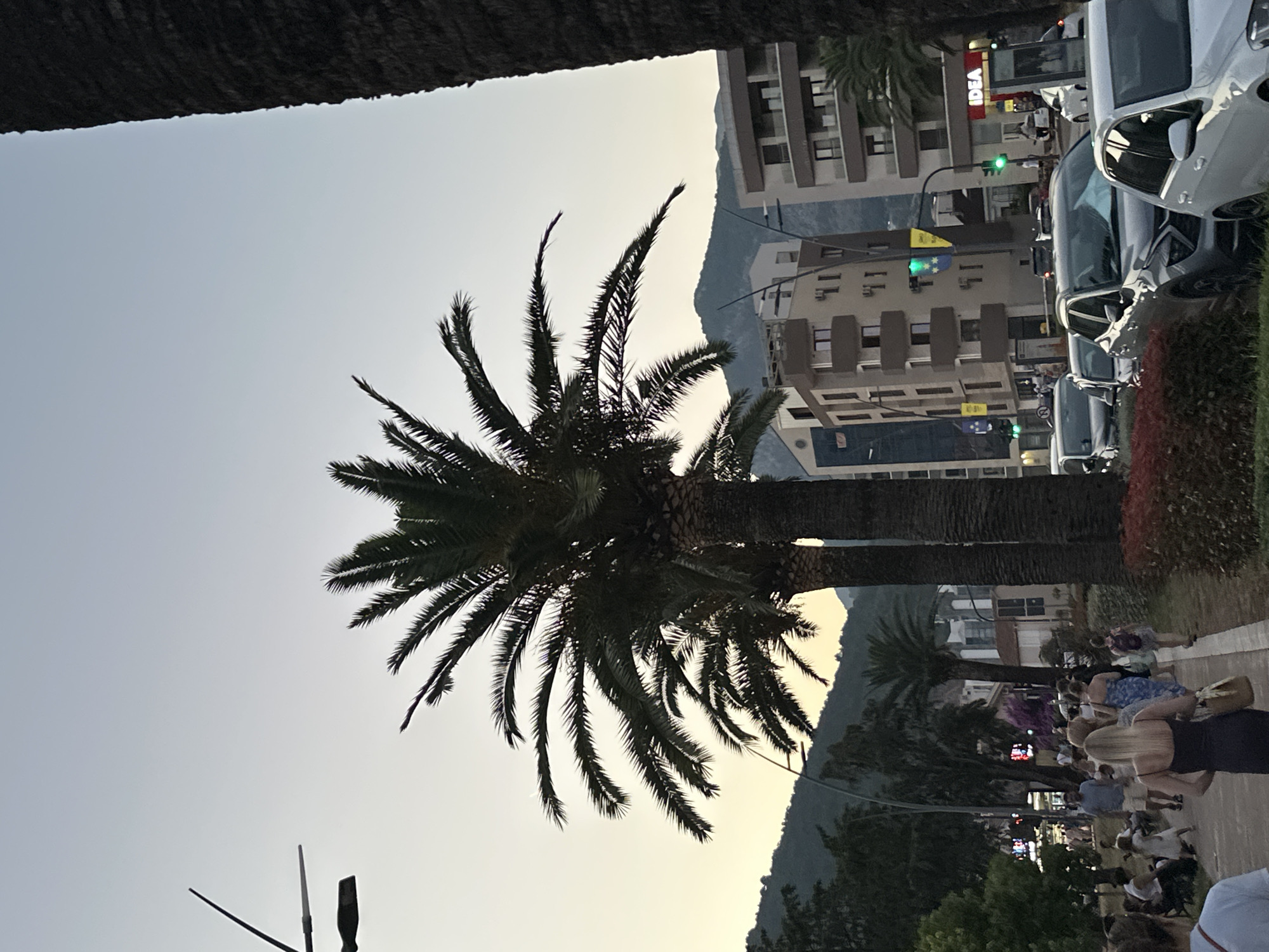 The image shows a street scene in Budva, Montenegro, near the coast, with palm trees lining the walkway. In the foreground, people are walking on a paved path, some sitting on benches. Several cars are parked or driving on the street to the right, with buildings visible behind them. The sky is overcast and appears to be late afternoon or early evening. The buildings are modern, with balconies and multiple stories. Traffic lights are visible, indicating an intersection. The overall atmosphere is that of a bustling coastal town.