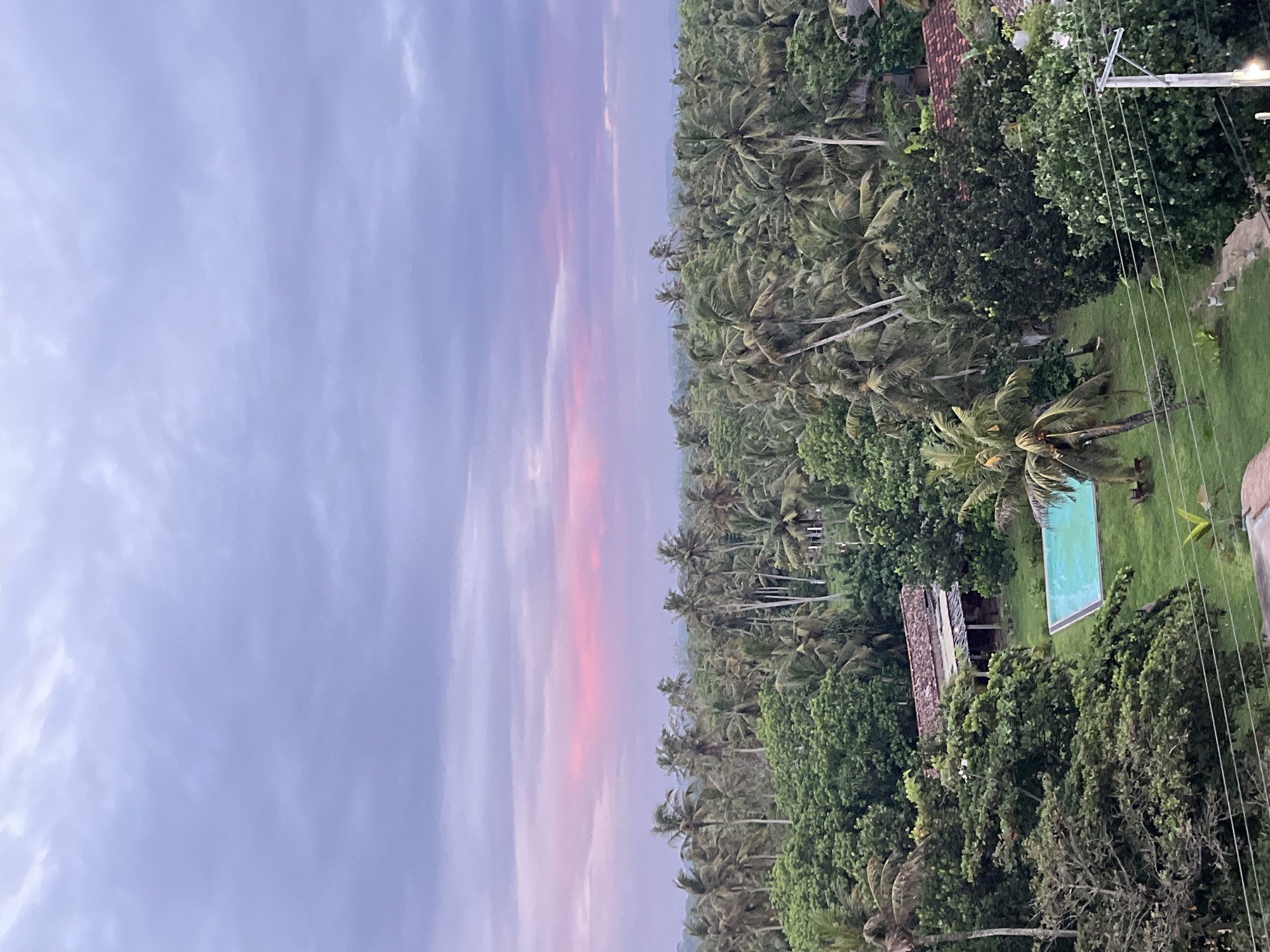 This is a vertical, high-angle, full shot of a tropical landscape at dusk. The sky dominates the left half of the frame, a gradient of soft purple and pale pink hues, indicating sunset. Wispy clouds streak across the sky. The right half of the image is filled with lush greenery, primarily palm trees and dense foliage, suggesting a tropical environment. A glimpse of a swimming pool with turquoise water can be seen nestled among the trees. A rustic building with a tiled roof is also visible. Utility poles and wires are present in the foreground on the right, hinting at human habitation. The overall scene evokes a sense of tranquility and natural beauty, with the warm colors of the sunset contrasting with the deep greens of the vegetation. No people or text are visible in the image. The location context of Kathaluwa, Sri Lanka, further supports the visual cues of a tropical, coastal region.