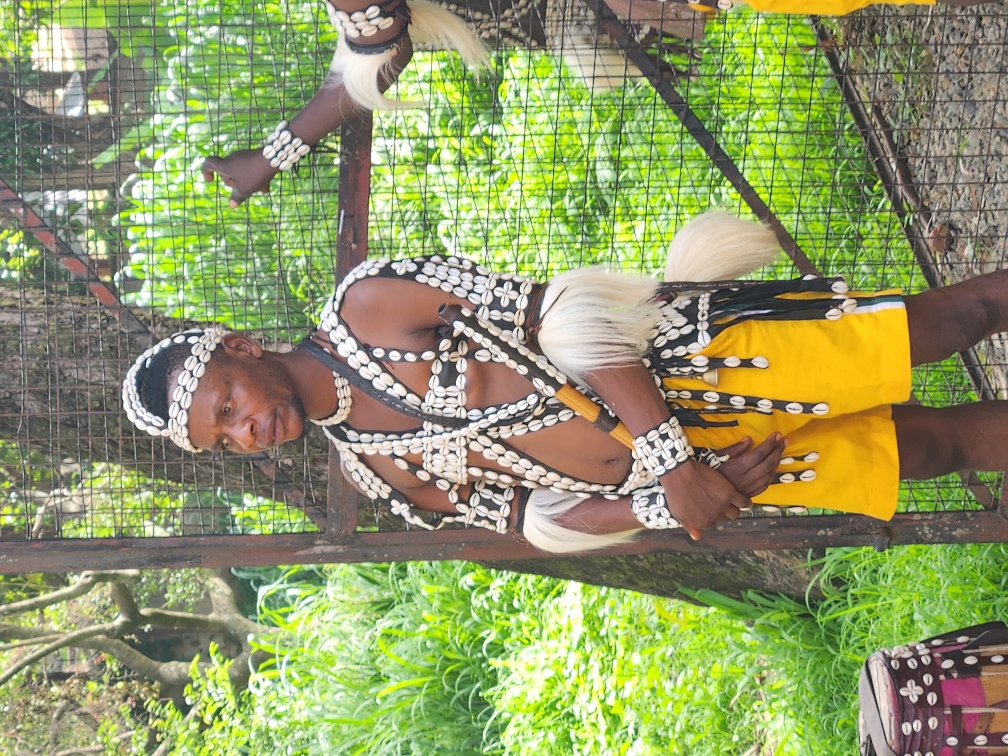 A man in traditional attire stands behind a metal fence, outdoors. He wears a headdress adorned with seashells, a necklace made of seashells, and a chest piece also decorated with seashells. His lower garment is bright yellow shorts. White fur adorns his wrists and waist. In his right hand, he holds a wooden object. To his left, a drum wrapped in fabric and adorned with seashells is visible. The background consists of lush green foliage and a large tree. This scene appears to be in Jos, Nigeria.