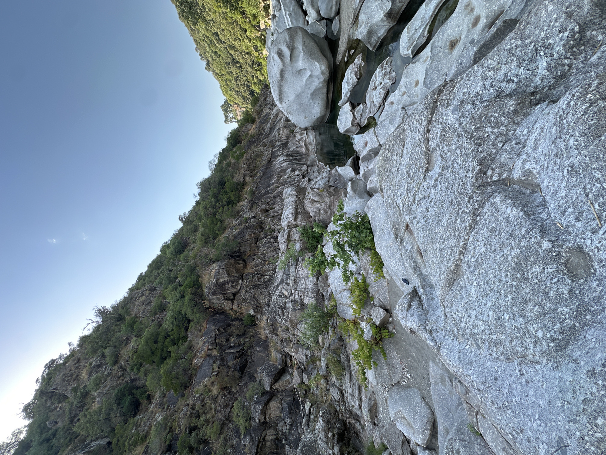 This is a vertically oriented, eye-level, medium shot of a rocky, tree-covered mountainside with a body of water flowing between the rocks. The sun is shining brightly, casting a warm glow on the scene, and the sky is clear and blue, indicating a pleasant day. The rocky terrain is the dominant subject, with large, grey boulders and jagged cliffs filling the frame. Some areas of the rocks are smooth and worn, while others are rough and textured. Green vegetation, including trees and shrubs, clings to the steep slopes and crevices, adding a touch of life to the rugged landscape. A small stream or river is visible between the rocks, its surface reflecting the light. The water appears clear and shallow in some areas, with darker depths in others. The overall atmosphere is one of natural beauty and tranquility, with the raw power of nature on full display. There are no people or animals visible in the image, nor is there any text. The time of day appears to be morning or afternoon, given the quality of the sunlight.