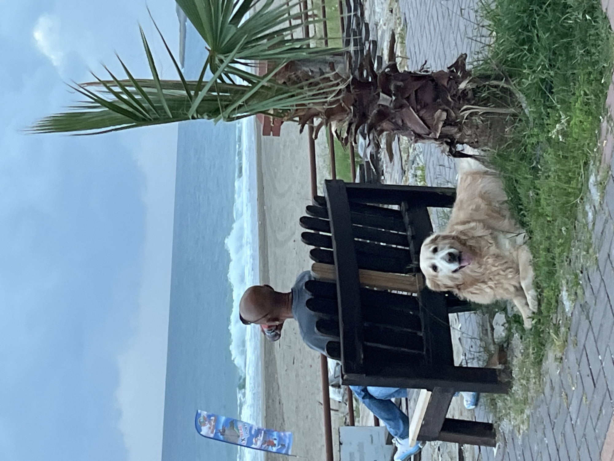 A man sits on a wooden bench next to a sandy beach and the Mediterranean Sea in Alanya, Turkey. A Golden Retriever dog lies on the ground next to the bench. A palm tree is next to the bench. There is a brick walkway and some grass near the bench. The sky is overcast.