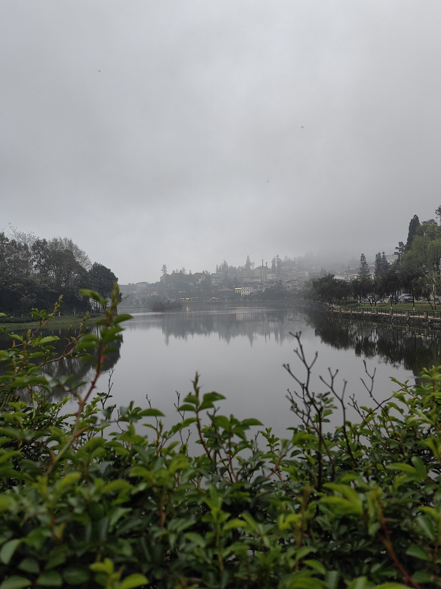 The image displays Sa Pa Lake in Sa Pa, Vietnam, under an overcast and foggy sky. The immediate foreground is occupied by out-of-focus green foliage, consisting of leaves and thin branches. The central midground features the calm, reflective surface of the lake. On the left bank, a dense line of trees, some appearing bare, borders the water. On the right bank, a paved walkway or road runs parallel to the lake, separated by a low fence and a row of trees. Multiple parked cars are visible on this road. The background reveals a cluster of multi-story buildings with various architectural details, partially obscured by mist, which are reflected on the lake's surface. The sky is uniformly gray due to heavy cloud cover or fog. No discernible human or animal activity is present.