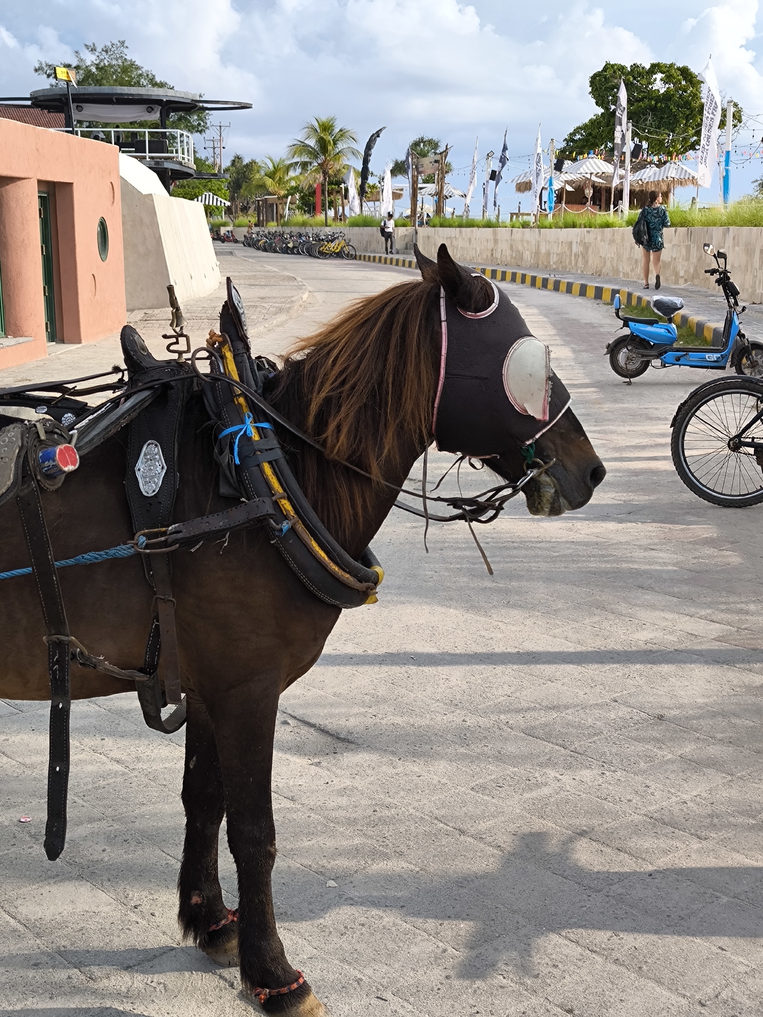 The image displays a brown horse, saddled and harnessed to a cart, standing on a paved road under a partly cloudy sky. The horse, facing right, wears a black blindfold with distinct white eye patches and has a long brown mane. Its harness is detailed with silver-colored decorative plates and blue ties, and its lower legs above the hooves are adorned with reddish-orange bands. The wheel of the cart is partially visible on the far right.
In the background, a blue electric scooter or motorcycle is parked. A woman wearing a dark patterned top and shorts, carrying a black bag, walks away from the viewer on the right side of the road. Further in the distance, another person in white is visible. Along the left side of the road, a line of bicycles is parked.
The scene features architectural elements suggestive of a resort or tourist area. On the left, an orange-colored building with a circular window stands beside a modern structure featuring a circular upper deck, potentially a restaurant or viewing platform. A low stone wall with a yellow and black striped curb separates the road from a grassy area. Beyond this wall, several thatched-roof huts or cafes are visible, decorated with numerous white and blue flags, some of which bear unreadable text that hints at "cruises" or "rental" services. Tropical palm trees and other foliage punctuate the landscape. The bright sunlight casts clear shadows on the concrete-block pavement, including a large, indistinct shadow in the foreground. The overall impression is a calm, daytime scene in a warm, possibly coastal, location.