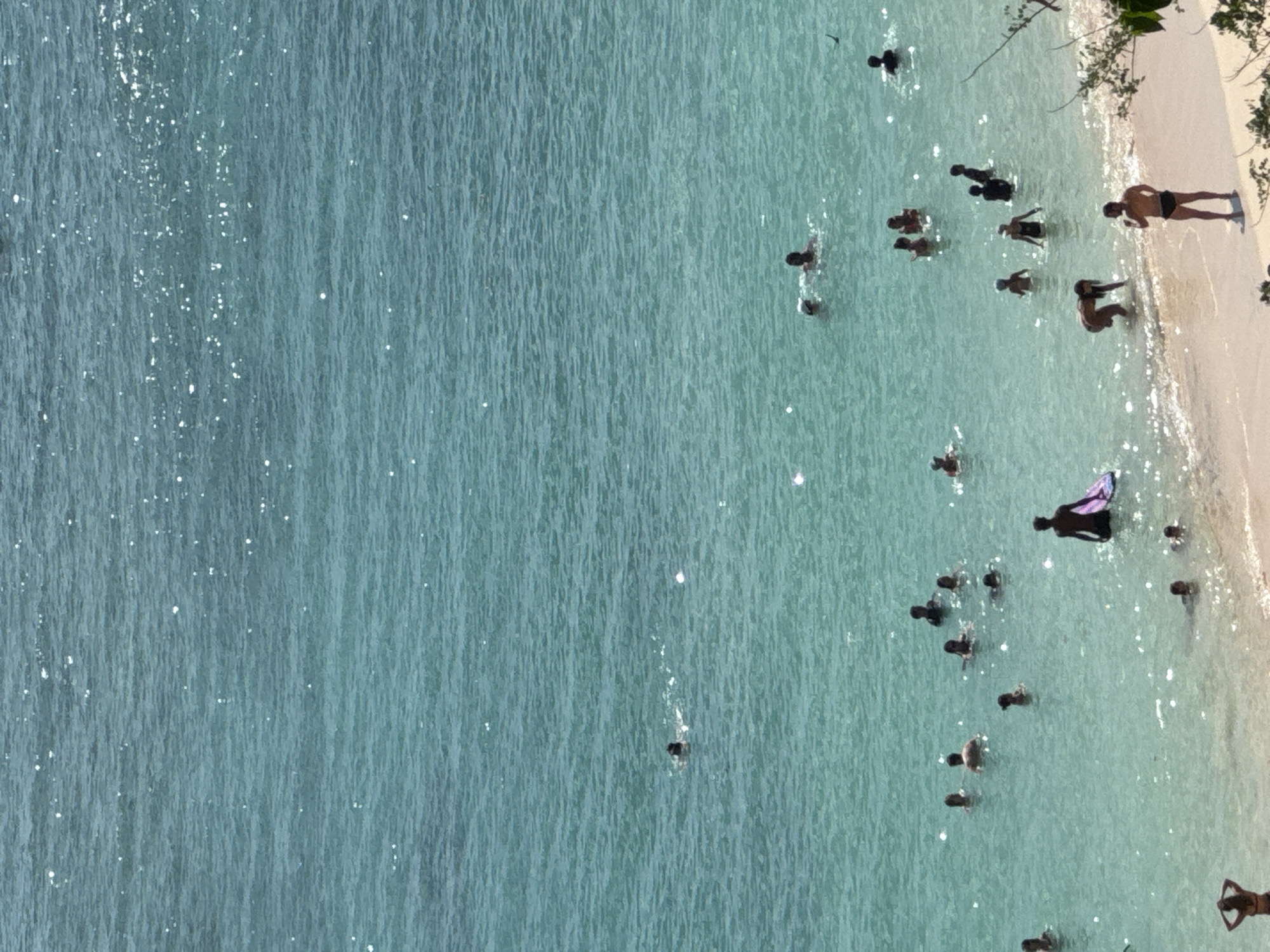 A high-angle, full-frame shot captures a bustling scene at a beach in Kuta Selatan, Indonesia, with numerous individuals engaged in recreational activities in clear, turquoise water. The sunlight glints off the water's surface, creating a dappled effect across the scene.
In the water, a diverse group of people are visible, with many swimming, wading, or standing in the shallows. To the left, near the shore, a woman in a bikini stands with her hands on her hips, facing away from the camera. Further out, a man in swim trunks stands on the sand, holding what appears to be a drink.
Scattered throughout the water are groups of people. In the mid-ground, several individuals are standing or swimming together. Towards the right side of the frame, a man is wading in the water, holding a pink bodyboard.
The shoreline is a strip of light-colored sand, meeting the gentle waves. Lush green foliage is visible on the right side of the frame, encroaching on the beach area. The water itself is translucent, allowing a view of the sandy bottom in shallower areas. The overall impression is one of a vibrant, sun-drenched beach day.