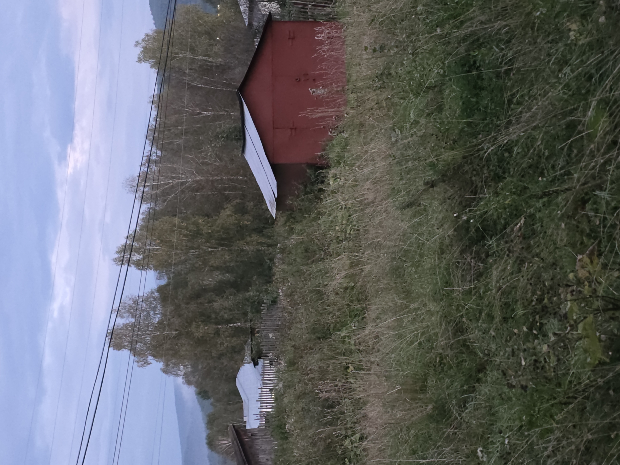 This image depicts a rural scene, possibly in the vicinity of Magnitka, Russia, characterized by a twilight sky with scattered clouds. The foreground is dominated by overgrown grass and vegetation, suggesting an uncultivated area. In the mid-ground, a red, metal-clad garage with a sloped, grey roof is visible. The garage features double doors with visible latches. To the left of the garage, partially obscured by the grass, are structures of a more rustic nature, including a wooden building and what appears to be a fenced yard with a corrugated metal roof. Behind these structures, a line of trees, primarily birches, with sparse autumn foliage stretches across the landscape. Further in the background, rolling hills can be seen, with a layer of mist or fog obscuring their lower portions. Overhead, power lines are strung across the frame, indicating the presence of utility infrastructure. The overall impression is one of a somewhat disheveled, semi-abandoned rural settlement under a fading sky. There are no people or animals visible in the frame.