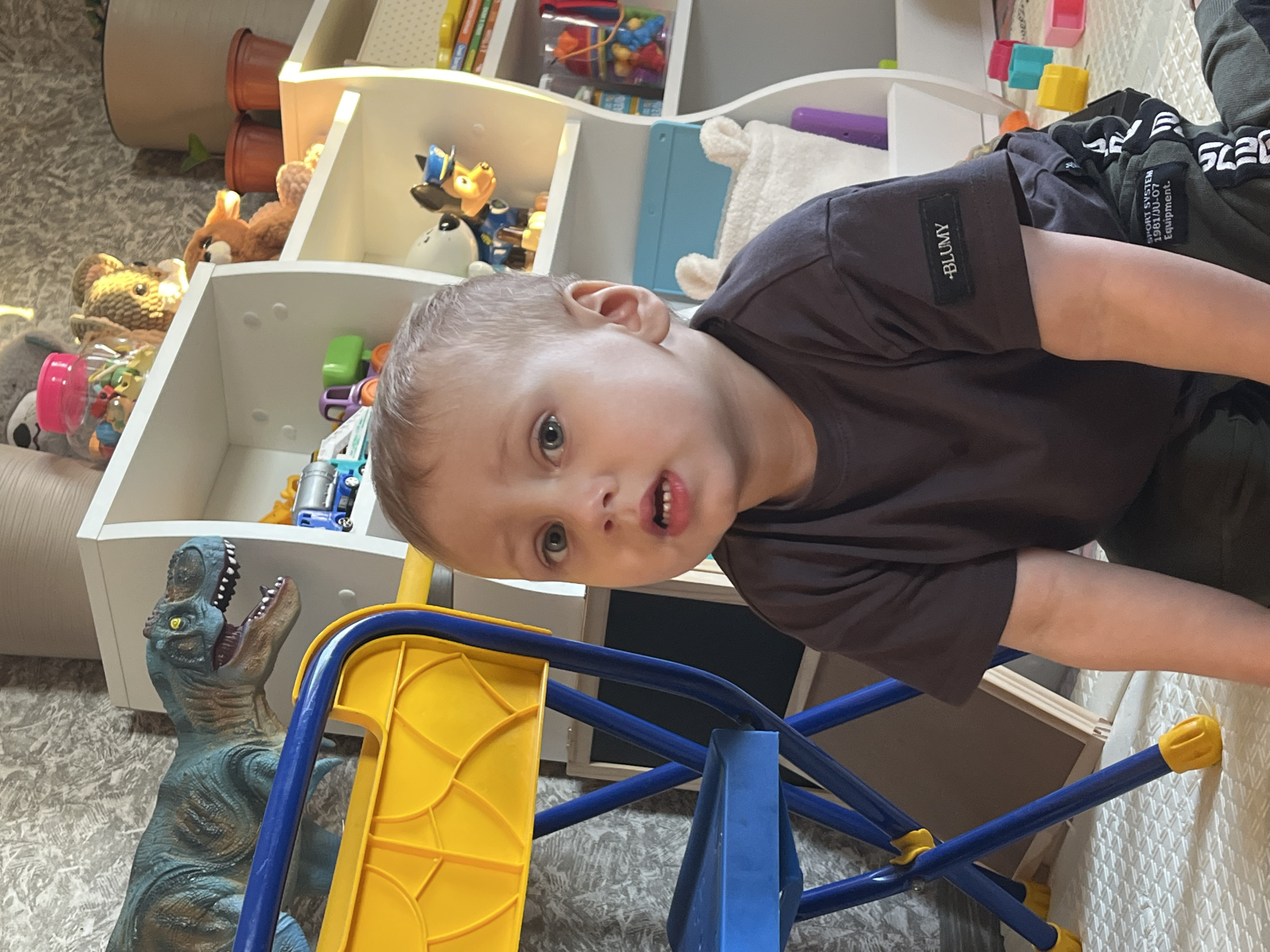 A boy in a dark brown shirt and dark pants with white text is positioned near a white shelf, next to a toy dinosaur and a blue and yellow toy structure. The shelf contains various items, including potted plants, stuffed animals, and toys. The scene takes place indoors. The location is not discernible from the image.