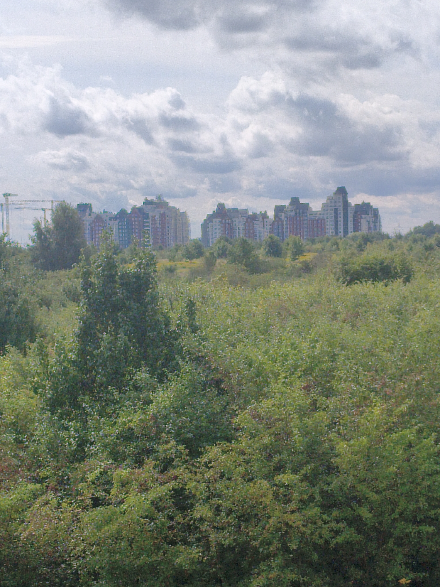 The image captures a suburban landscape with a cluster of multi-story buildings in the background, likely residential apartment complexes, situated in Maloye Isakovo, Russia. These buildings are of various heights and colors, with red and white facades predominating. In the foreground, a dense expanse of lush green vegetation, comprising trees and bushes, dominates the scene, suggesting an undeveloped or semi-developed area. The sky above is partially covered with gray and white clouds, indicating an overcast or partly cloudy day. The presence of construction cranes in the far left of the background suggests ongoing development or infrastructure projects in the vicinity. The overall impression is one of a transitioning environment where urban development is encroaching on natural or semi-natural landscapes. There are no people or animals visible in the image.