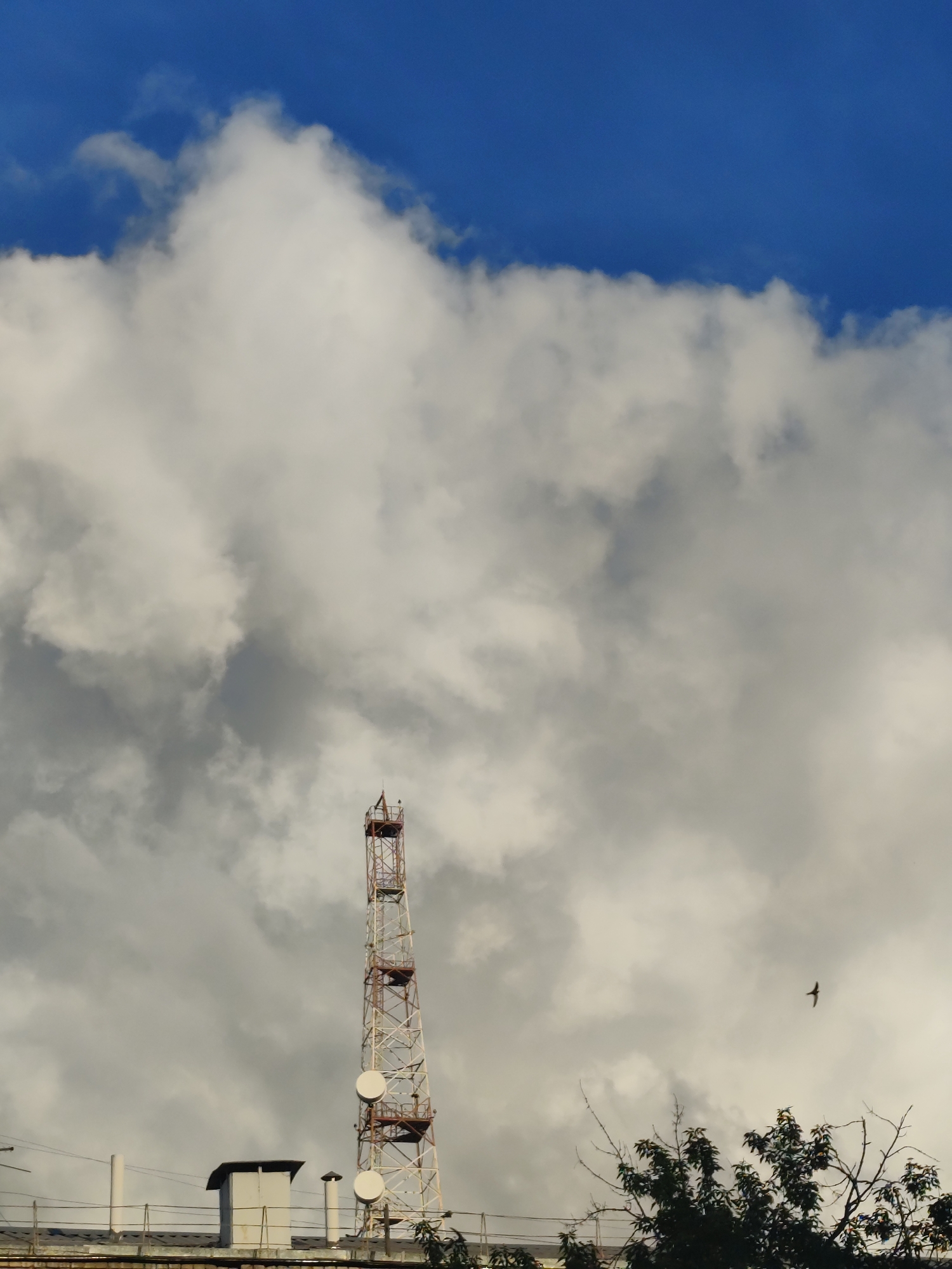 A tall, lattice communication tower, painted white and rust-red, stands prominently against a dramatic sky. The tower is segmented with platforms and circular dishes. Below the tower, the flat roof of a building is visible, with various structures such as ventilation shafts and what appears to be a small utility box. To the right of the tower, the silhouette of a tree with dense foliage is visible, its branches reaching upwards. A small bird is captured in flight in the upper right quadrant of the image, appearing as a dark speck against the clouds. The sky is a mix of deep blue at the top, transitioning into large, billowing white and gray clouds that dominate the frame. The lighting suggests it could be late afternoon or early morning, with diffused sunlight creating contrast within the cloud formations. The overall scene evokes a sense of industrial presence against a natural, dynamic sky.