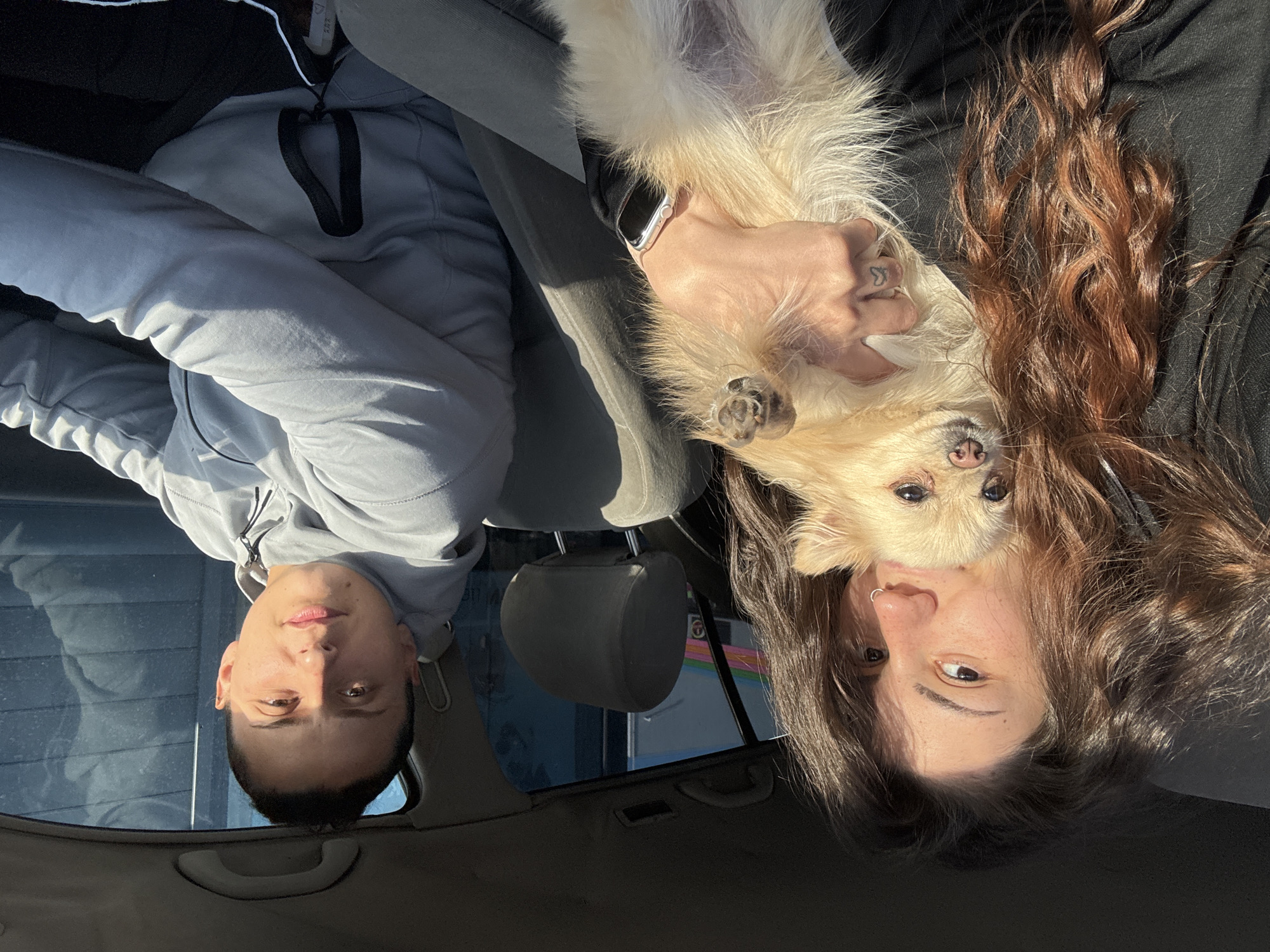 A photo taken from inside a car shows two people and a dog, turned upside down. A person wearing a light grey hoodie is in the driver's seat, their face visible. Next to them, another person is holding a small, light-colored dog. The dog's face is visible. The person holding the dog has long, brown hair. The scene is interior of the vehicle. It is impossible to determine if this photo was taken in Sofia, Bulgaria. There is no visible evidence to suggest this.
