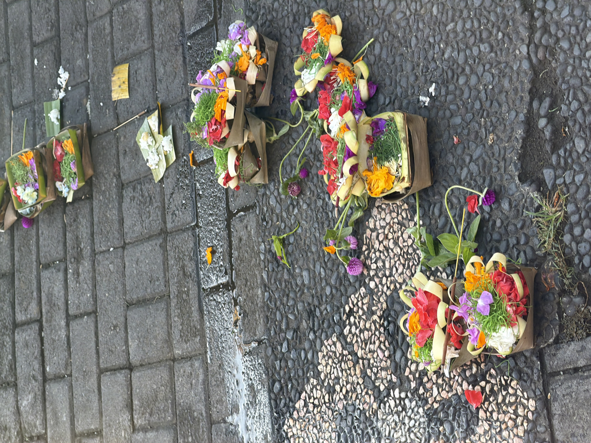 The image shows a collection of offerings, known as *canang sari*, scattered on a paved walkway and a rocky surface in Ubud District, Indonesia. The offerings are made of woven palm leaf baskets filled with flowers, leaves, and sometimes rice. They are arranged in groups, with some appearing to have fallen from their original placement. The walkway is made of dark grey pavers, and there are patches of smaller, rounded grey and tan stones. Some of the flowers visible include red, orange, purple, and white petals, as well as green foliage. There are also a few individual flower petals and a yellow leaf scattered on the ground. The scene appears to be outdoors, likely in a public area, given the nature of the paving.