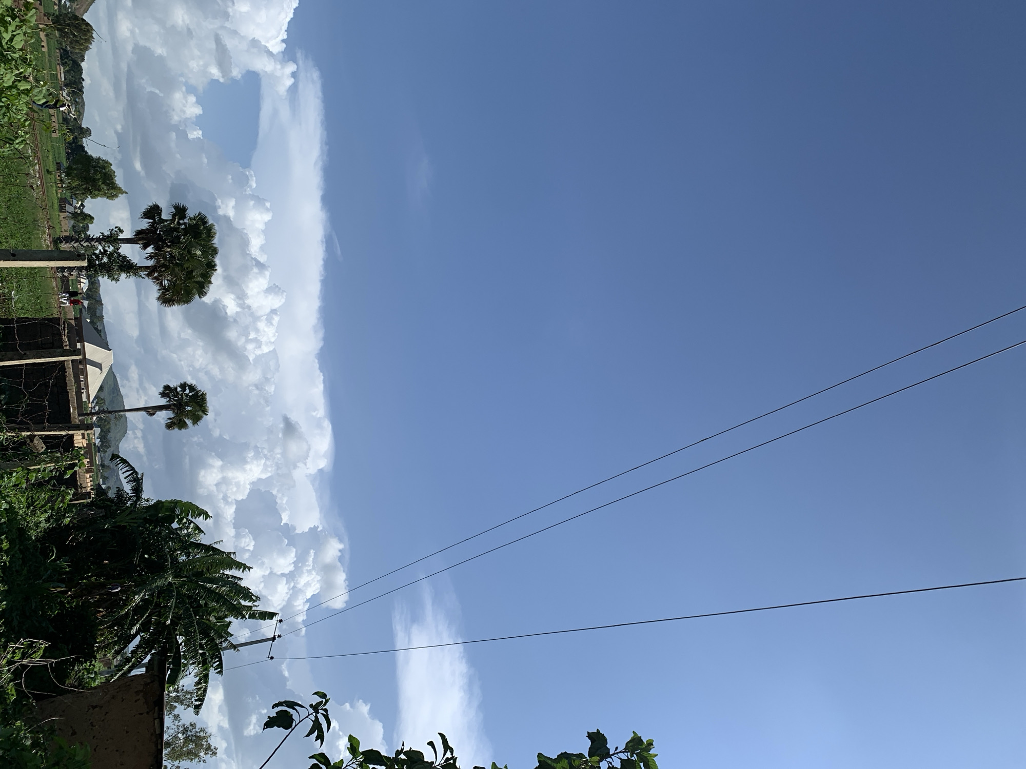 In Kuru Karama, Nigeria, under a vast, clear blue sky dotted with fluffy white clouds, power lines stretch diagonally across the frame. In the foreground, lush green vegetation and a fence suggest a rural or semi-rural setting. Palm trees and banana trees are visible, along with buildings that appear to be simple structures, possibly homes. A power pole stands to the right, supporting the cables. In the mid-ground, a few people are visible, suggesting ongoing activity in the area. The overall scene depicts a tranquil day in a Nigerian landscape.