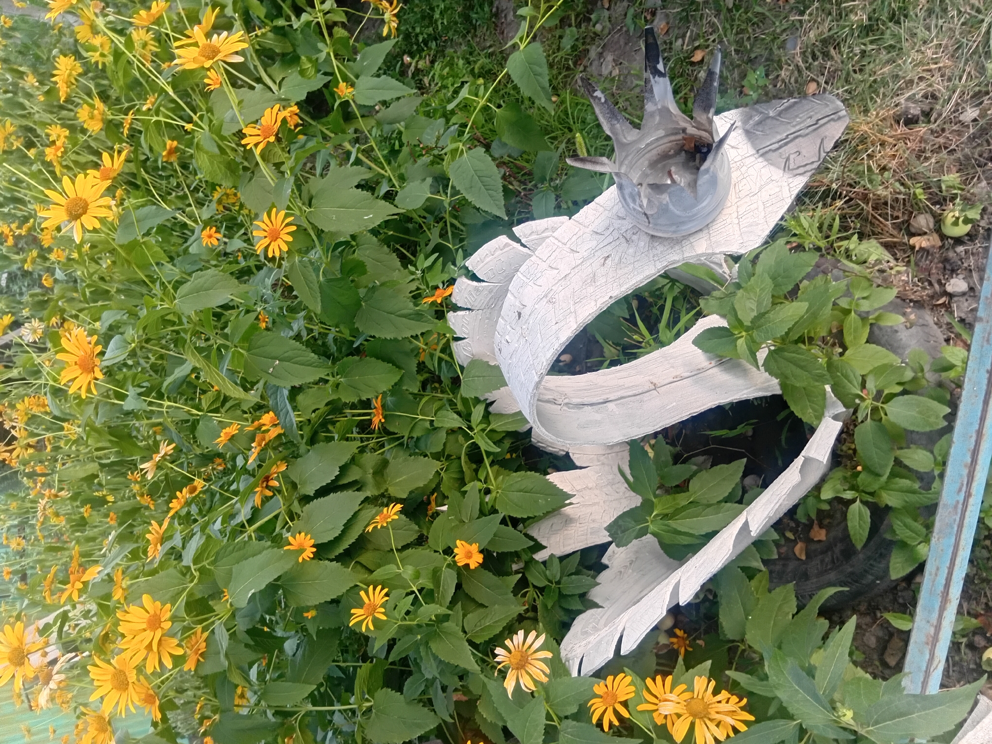 The image depicts an outdoor scene with a vibrant display of yellow flowers and lush green foliage. In the foreground, a grey, dragon-like sculpture, possibly made from repurposed materials like tires, is positioned amidst the plants. The sculpture has a distinctive head with spiky protrusions. The background is filled with tall plants, many of which bear clusters of bright yellow daisy-like flowers. The ground appears to be a mix of soil and grass. A section of a blue metal fence is visible at the bottom of the frame. The lighting suggests it is daytime, with sunlight illuminating the scene. The location of Taldykorgan, Kazakhstan is not visually discernible from the image itself.
