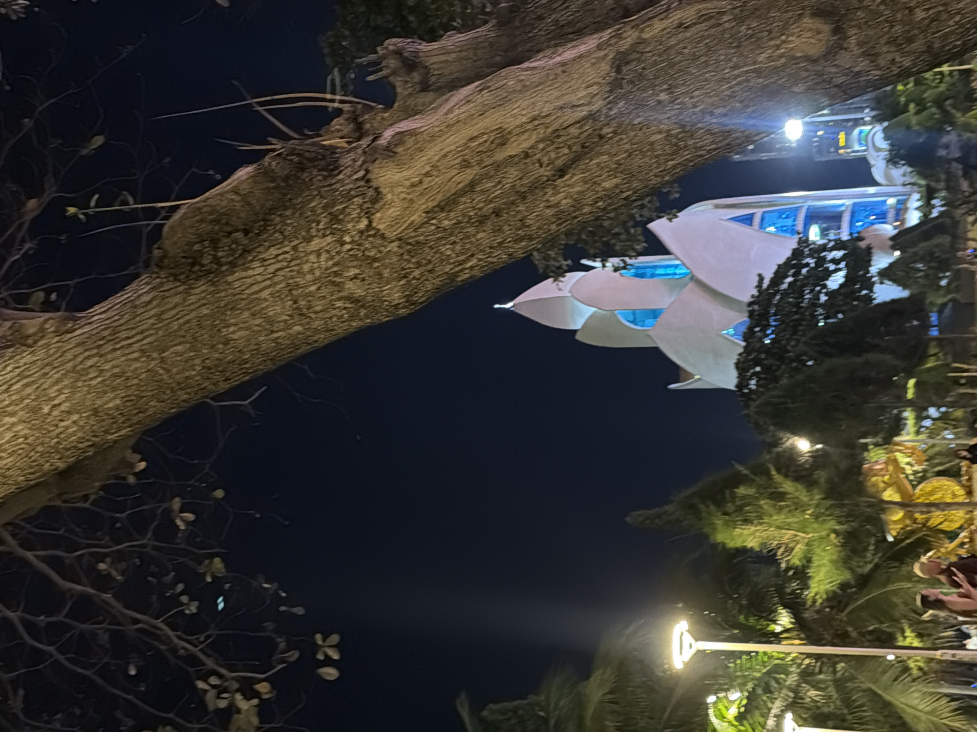 This is a low-angle, night-time photograph taken in Nha Trang, Vietnam, looking towards the Dragon Bridge landmark. The foreground is dominated by the textured bark of a large tree, with its branches extending into the dark, starry sky. In the mid-ground, the white, lotus-shaped structure of the Dragon Bridge is illuminated, with bright blue lights visible through its windows. Palm trees and other lush greenery flank the bridge, suggesting a tropical setting. A few streetlights cast a warm glow on the scene. In the lower left, two women are visible, standing near a streetlight, appearing to be engaged in conversation. The overall atmosphere is peaceful and illuminated, with the iconic architecture of Nha Trang serving as a prominent focal point.