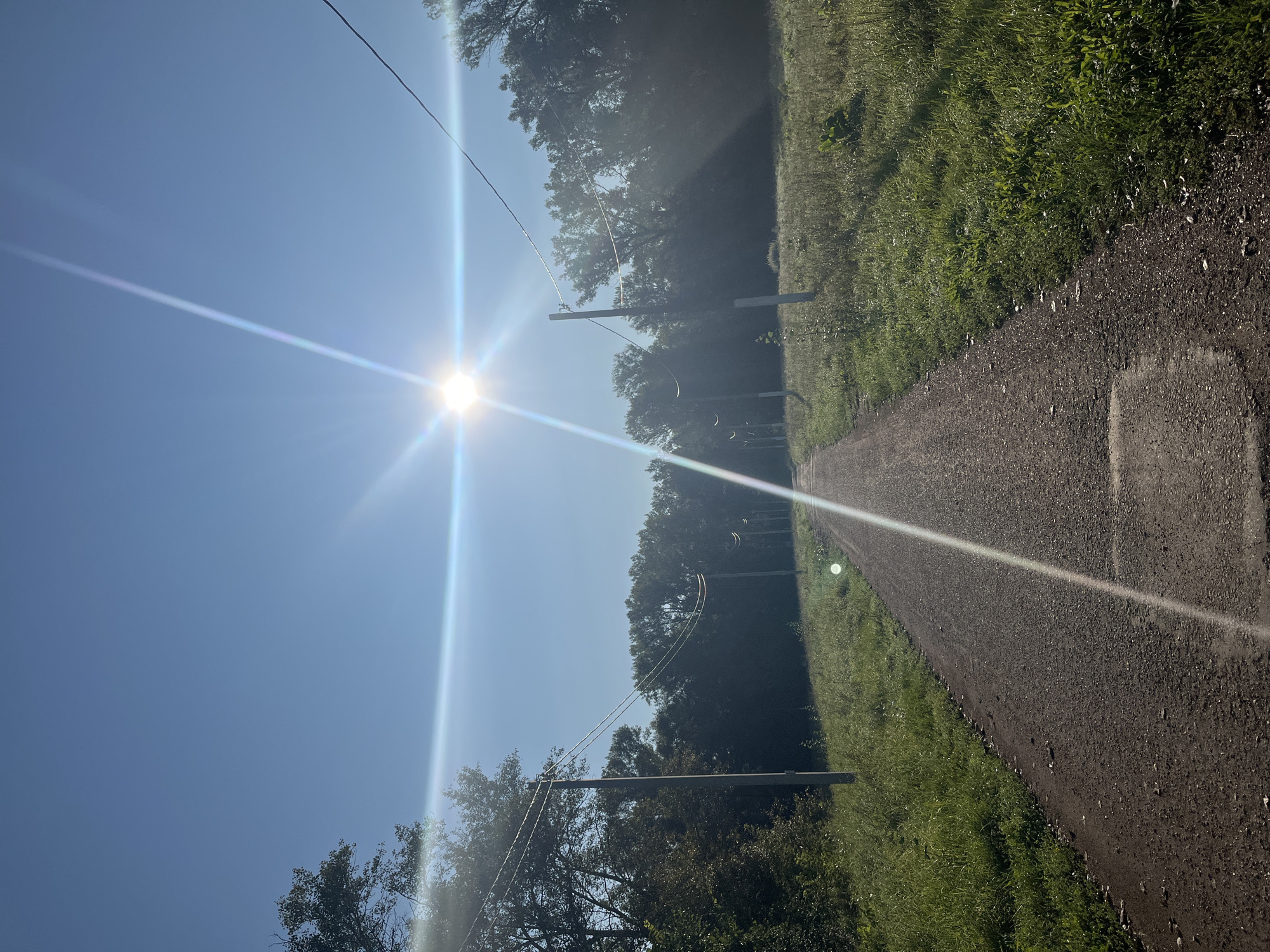 A dirt road stretches into the distance, flanked by a grassy field on the right and trees on the left. The sun is high in the sky, casting a bright glare and lens flare across the image. Several utility poles with wires run along the side of the road, disappearing into the trees. The environment appears to be rural, with no people or structures visible. The sky is clear and blue.