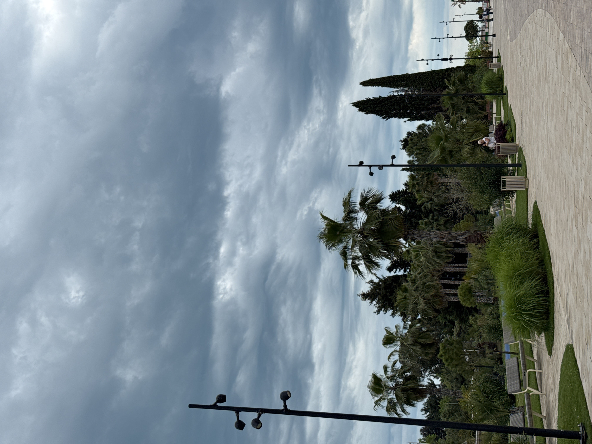 The image depicts a park scene under a cloudy sky. A paved walkway stretches along the right side of the frame. Adjacent to the walkway is a grassy area interspersed with benches and various trees, including palm trees and tall, slender evergreens. Streetlights line the park. In the distance, a person is seated on a bench. The location is Sirius, Russia.