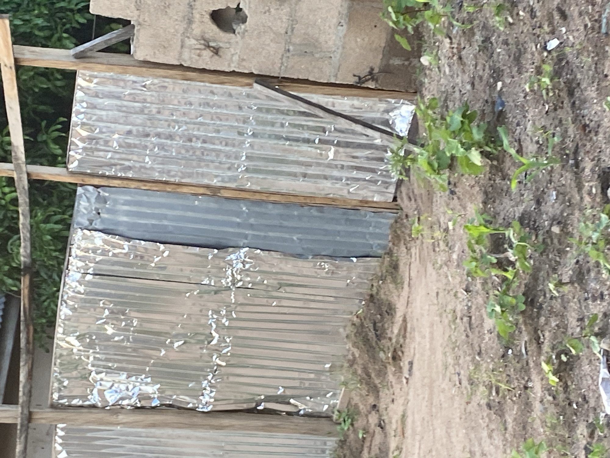 This image depicts an outdoor scene in Jauro Yinu, Nigeria. In the background, a fence constructed from corrugated metal sheets supported by wooden posts is visible. The metal sheeting is weathered and appears to be patched in some areas. To the right of the fence, a section of a concrete block wall with a hole is present. The foreground shows a patch of dry, sandy soil with sparse green vegetation, including small plants that may be crops, and some scattered debris. The overall environment suggests a rural or semi-rural setting.