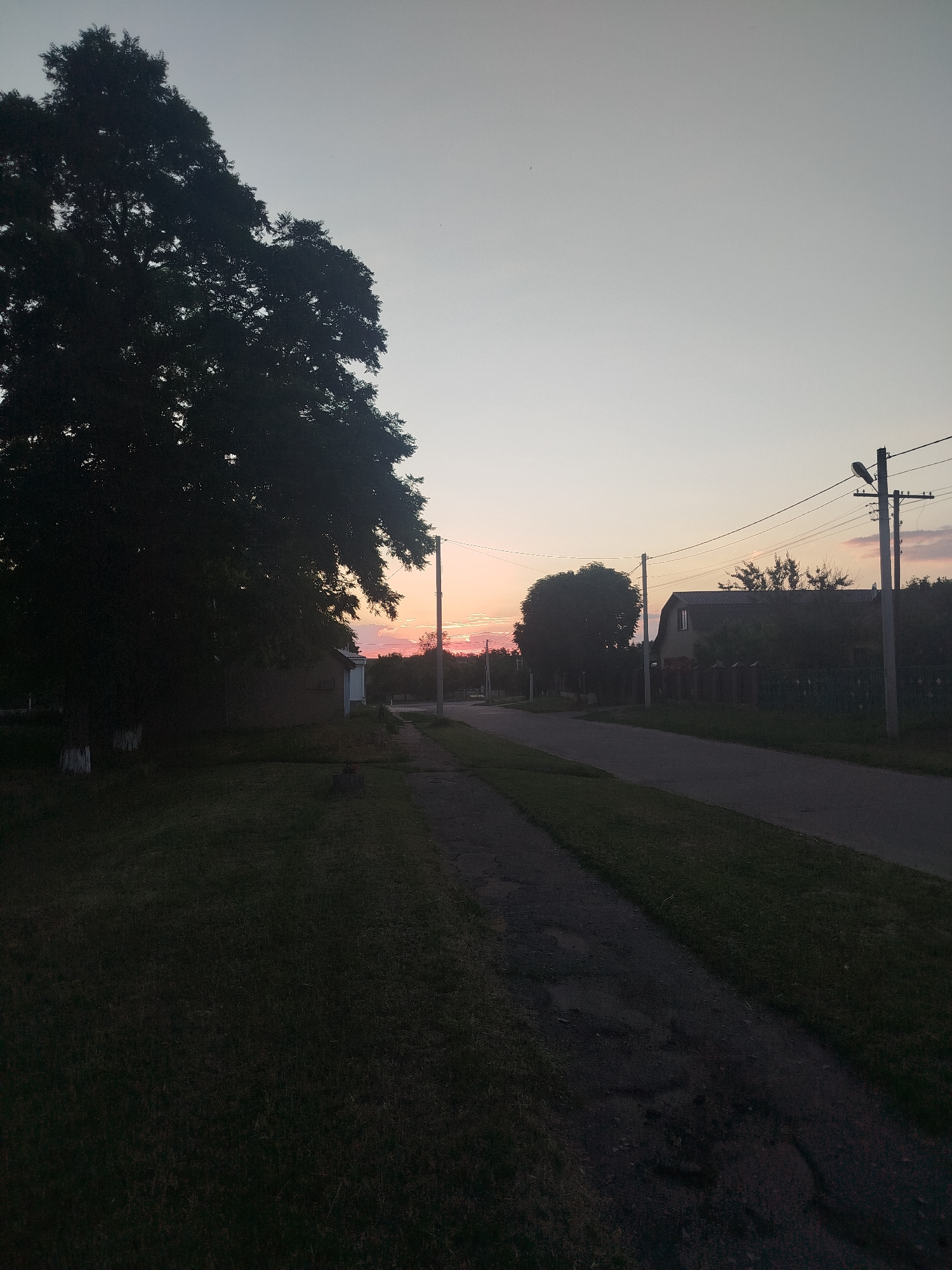 The image depicts a rural street scene at dusk in the city of Ustyvytsia, Ukraine. A large, dark silhouette of a tree dominates the left side of the frame, its leaves detailed against the pale sky. To the right of the tree, a building with a white trim is partially visible. A paved path or sidewalk runs alongside a grassy area, leading towards the street. The street itself is asphalt, curving gently into the distance. Along the right side of the street, a fence encloses property with a house featuring a dark, arched roof. A wooden utility pole with electrical wires and a street lamp stands beside the road. The sky transitions from a light grey at the top to a soft pink and orange hue near the horizon, indicating the setting sun. The overall atmosphere is peaceful and quiet, characteristic of a rural evening.