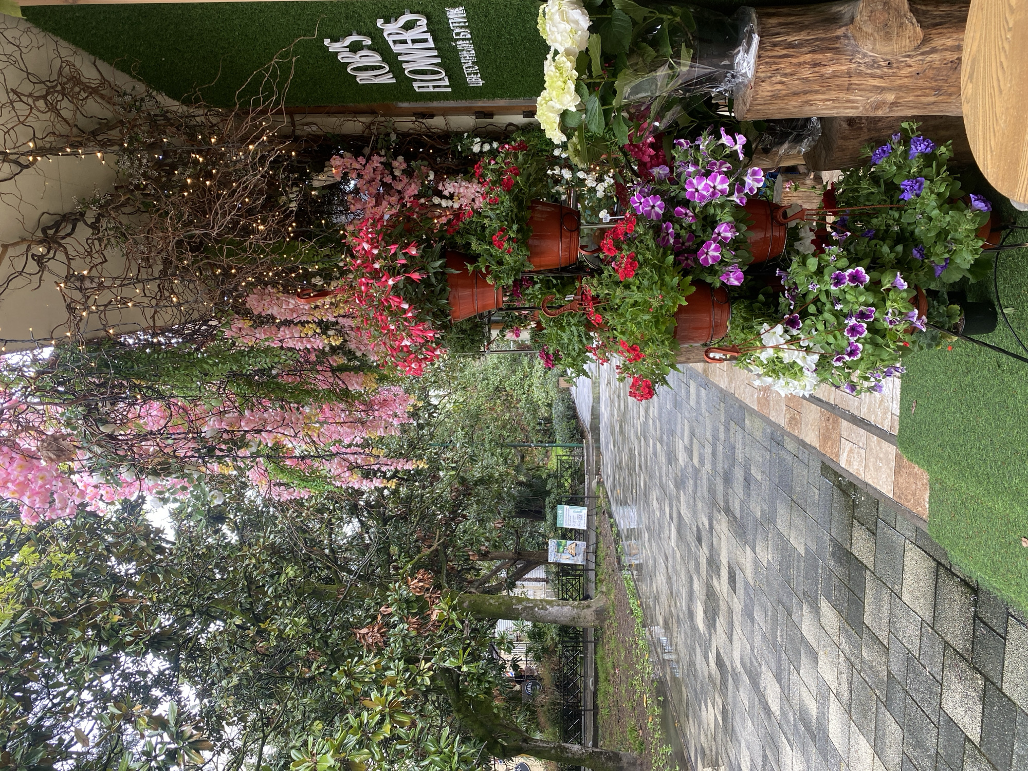 The scene is a floral display at Rob's Flowers, located in the city of Sochi, Russia, as indicated by the Cyrillic lettering on the sign. A variety of flowers are arranged in pots along the edge of a paved walkway, with additional floral and twig decorations framing the shopfront. The foreground shows trees lining the street, while the walkway, made of gray and beige tiles, extends into the distance. The environment suggests a well-maintained outdoor space, possibly a pedestrian zone in Sochi.