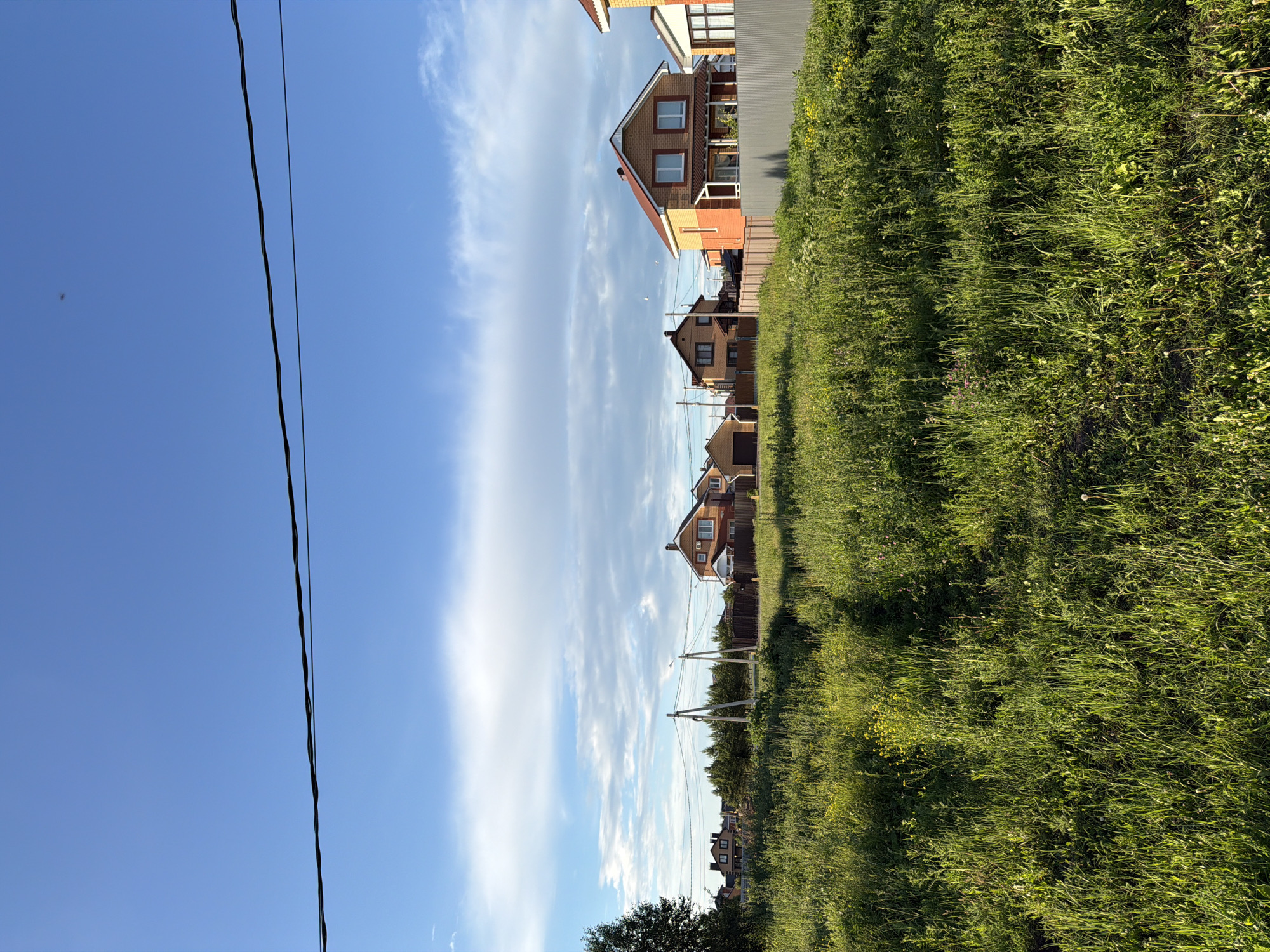 The image depicts a residential area in the city of Shmitovo, Russia, under a clear blue sky with scattered white clouds. The foreground is dominated by a field of tall, green grass with wildflowers. In the middle ground, a row of houses with orange and brown brick exteriors and red roofs is visible, separated by wooden and metal fences. Utility poles with overhead wires are present. The background features a line of trees and more houses. The scene appears to be a suburban or rural landscape during daylight. There are no people or animals visible in the image.