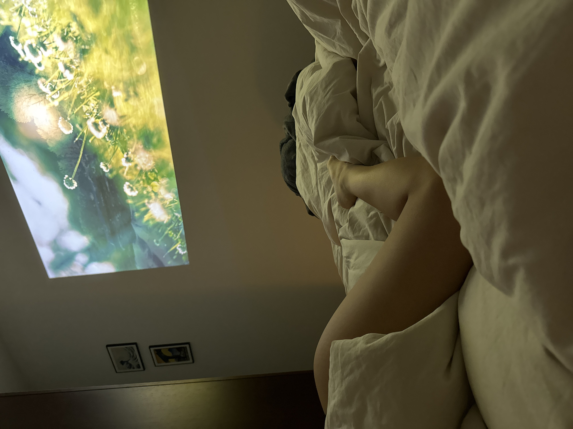 A person is lying in bed under white bedding with a screen projection displayed on the wall above. The projection shows a close-up image of grass and small white flowers. Two framed pictures hang on the wall below the projection. The photograph provides no information about the location in Warsaw, Poland.