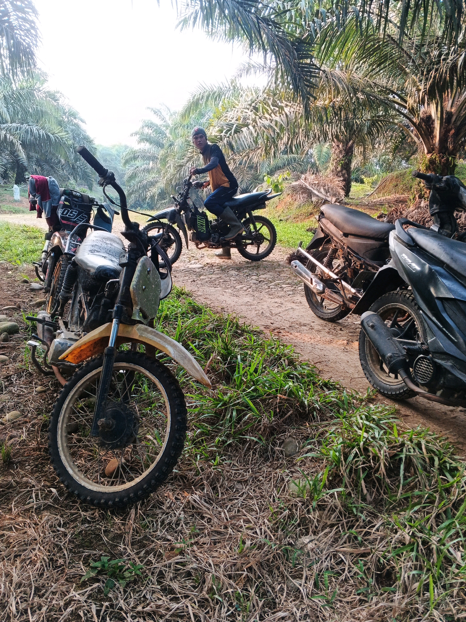 A group of dirt bikes and scooters are parked on a dirt path lined with grass and palm trees in Batu Ejung, Indonesia. A man wearing a yellow and black shirt and blue jeans is sitting on one of the dirt bikes, holding the handlebars. Another dirt bike is parked in the foreground, with its front wheel facing the camera. The environment appears to be a rural area with dense vegetation and a bright sky.