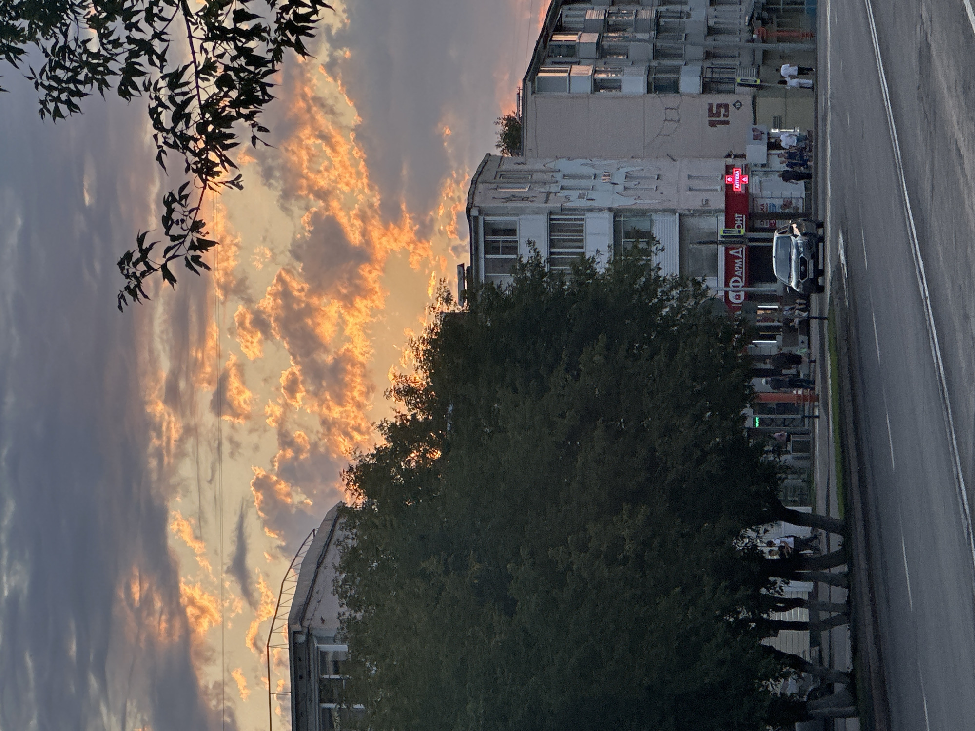 This is a photograph taken in the city of Beryozovsky, Russia, on a street with apartment buildings on the right and trees lining the sidewalk on the left. The sky is filled with dramatic clouds illuminated by an orange glow, suggesting either sunrise or sunset.
In the foreground, a two-lane asphalt road is visible, with white markings indicating lanes. To the left of the road, several trees with dark green foliage are planted in a row, their lower trunks whitewashed. Behind the trees, the multi-story apartment buildings of Beryozovsky are visible. These buildings appear to be constructed from concrete and have balconies. Some of the buildings have commercial establishments on the ground floor, indicated by signs such as "ФАРМА" (Pharmacy) and "АПТЕКА" (Pharmacy), and a red illuminated sign.
A dark-colored car is driving on the road in the middle ground. Several people are visible walking on the sidewalk in front of the buildings, some grouped together, and others walking individually. A pedestrian crossing signal is visible. In the background, more apartment buildings and trees are discernible, as well as the colorful sky. A branch of a tree with dark leaves is silhouetted against the sky in the upper right portion of the image.