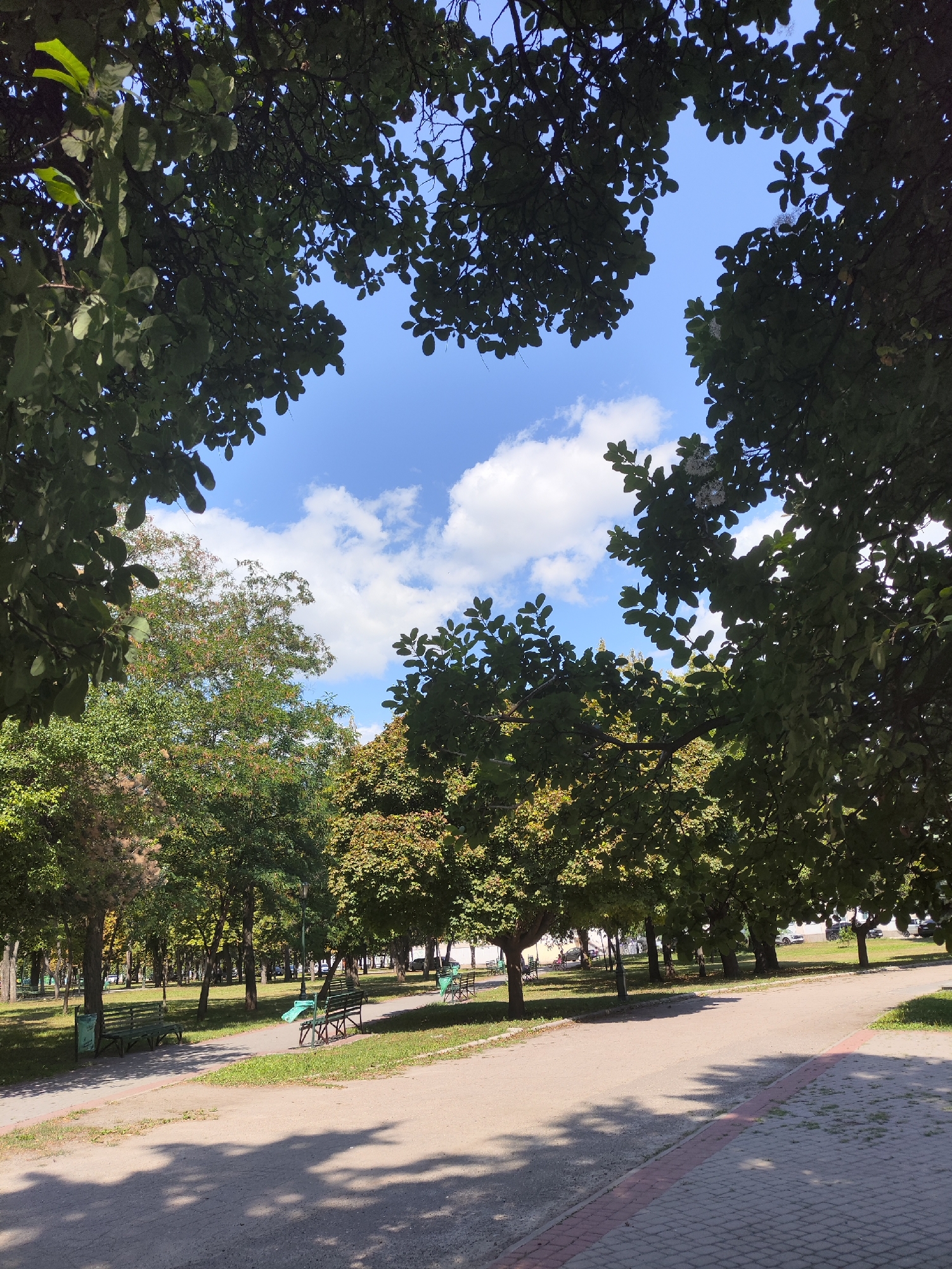 The image depicts a park scene on a sunny day, likely in Kharkiv, Ukraine, given the stylistic elements of the benches and pathways commonly found in parks within the region. The foreground shows a paved pathway with a red brick border, casting dappled shadows from overhead trees. To the left of the pathway, a green metal park bench sits on a grassy area, accompanied by a matching trash receptacle.
Further into the park, more trees with lush green foliage line a secondary, wider paved path that curves to the right. Additional green park benches are visible along this path, some with children's toys scattered nearby, including a blue ride-on toy. The background reveals a line of trees, some with hints of autumnal color, and beyond them, parked cars suggest the park is accessible by vehicle. The sky above is a clear blue, dotted with fluffy white clouds, peeking through the dense canopy of leaves from the trees in the foreground. The overall impression is one of a peaceful, well-maintained urban park.