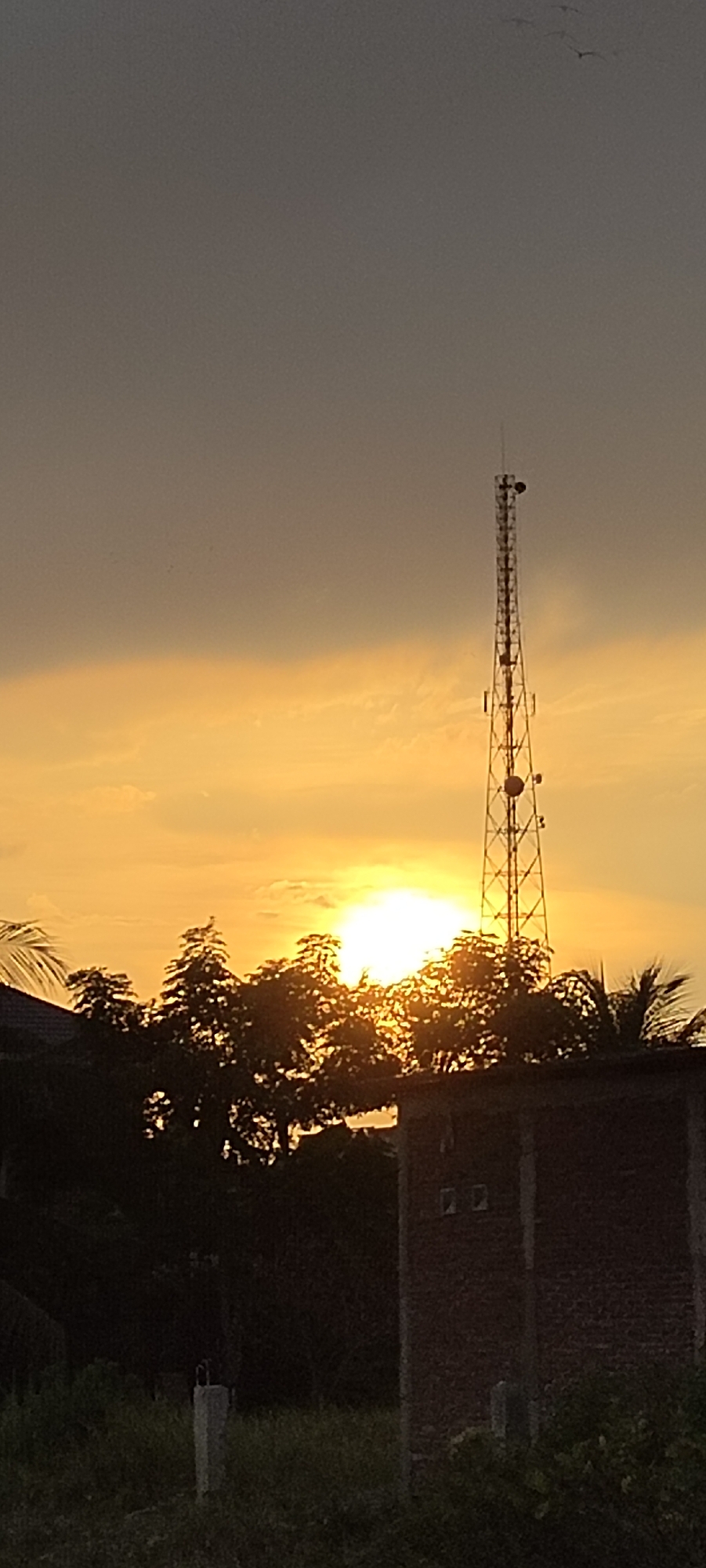 The image depicts a sunset in Lhokseumawe, Indonesia. A tall telecommunications tower stands prominently on the right side of the frame, its metallic structure silhouetted against the bright orange sky. In the foreground, the dark silhouettes of trees and a building are visible, obscuring much of the ground. The sun is partially hidden behind the trees, casting a warm glow. A few birds are visible flying in the upper left portion of the sky. The overall scene suggests an outdoor environment, likely on the outskirts of the city given the presence of the tower and the less urbanized foreground.