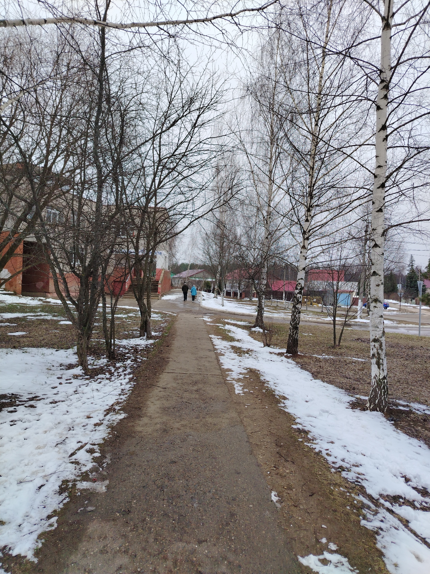 A gray concrete walkway extends into the distance, bordered by snow-covered ground and bare trees. On the left side of the walkway is a building with brick accents and a staircase leading to the entrance. Two figures, one in a blue jacket and the other in a darker coat, are walking away from the viewer along the walkway. On the right side of the path are birch trees with distinctive white bark and black markings. The sky is overcast, suggesting a cold, wintry day.
The location is Noviy, Russia.