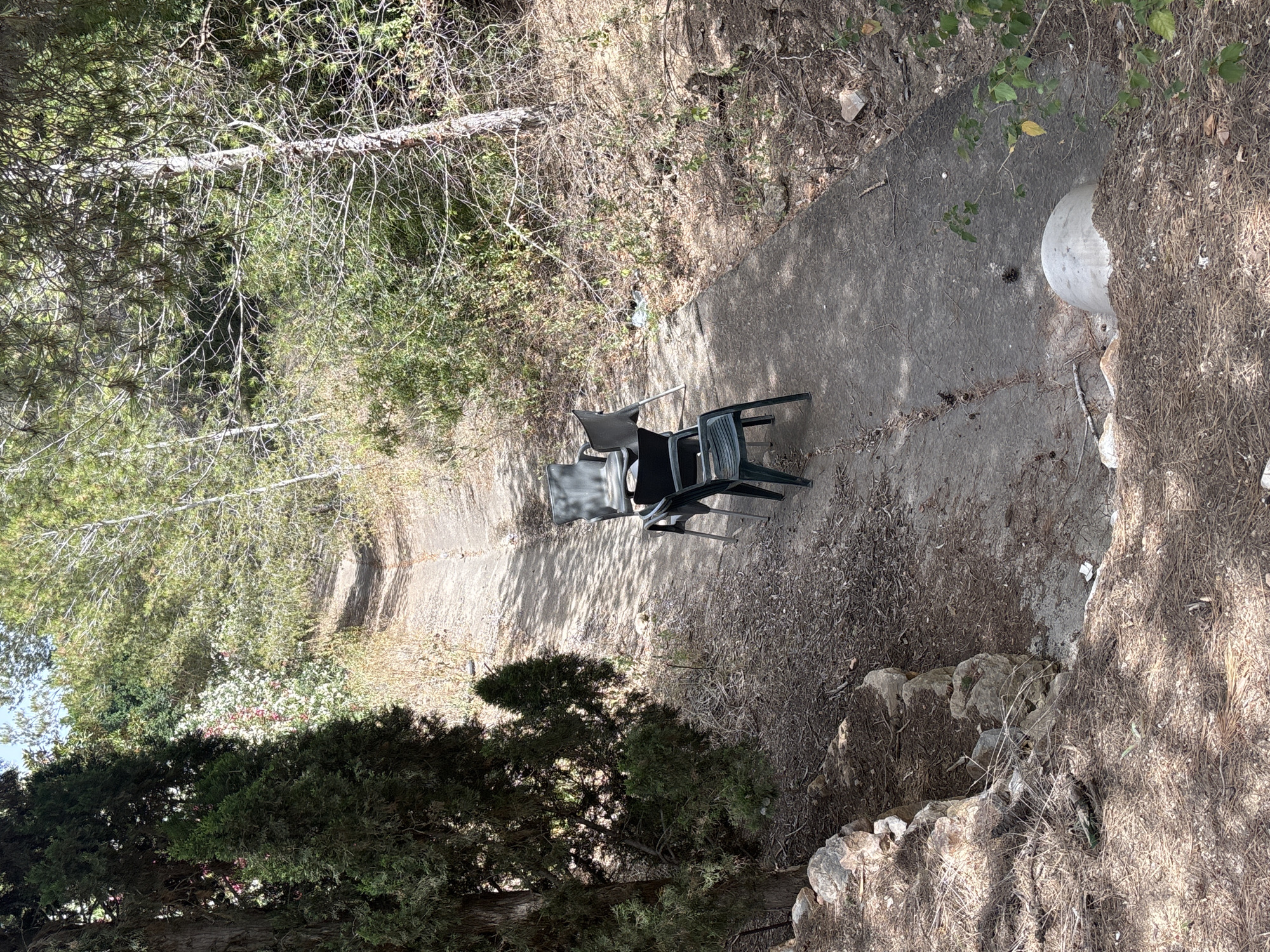 The image depicts an outdoor scene with a concrete path winding through vegetation. The path is flanked by dry brush and trees, with a larger tree in the foreground casting a shadow. On the path, there are three dark plastic chairs, two of which are positioned next to each other. One chair appears to be slightly behind the other two. To the right of the path, a large, round, concrete object is visible, possibly a planter or a well cover. The ground is covered in dry leaves, pine needles, and small stones. In the background, there is dense greenery, including flowering bushes with white and pink blossoms, and taller trees. The scene appears to be in a somewhat unkempt or natural state. The lighting suggests it is daytime, with sunlight casting distinct shadows, indicating a clear day. No people or text are visible in the image. The location is identified as Orihuela, Spain, suggesting a Mediterranean climate.