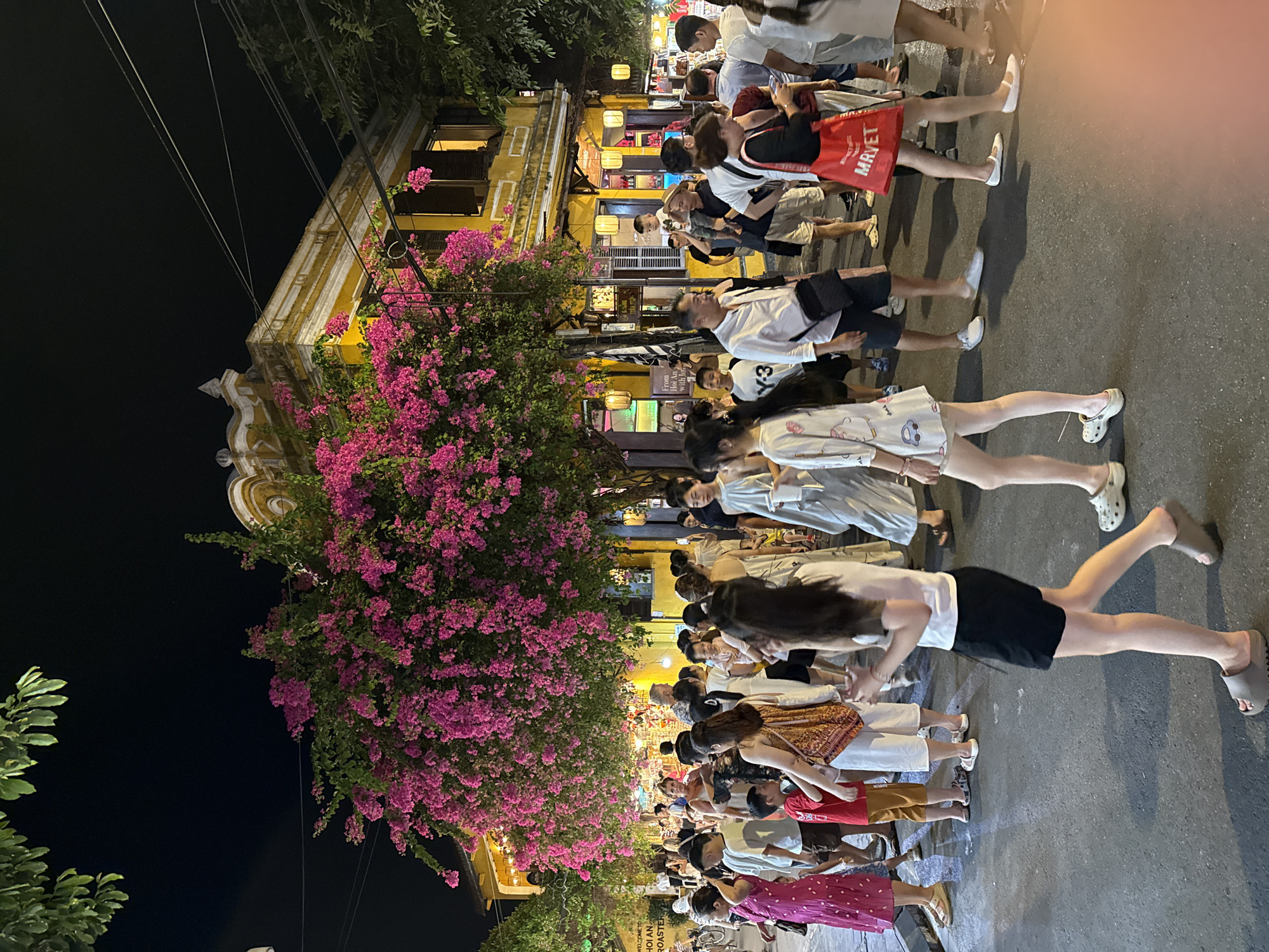 This detailed image captures a bustling street scene at night in Hội An Ward, Vietnam. A large, vibrant pink bougainvillea tree dominates the upper-middle and left portions of the frame, its numerous blossoms brightly illuminated. Behind the tree and to the right stands a two-story yellow building with white architectural trim, ornate roof details, and multiple dark wooden shutters, some of which are open, revealing interior lighting. Numerous traditional lanterns, both square and round, hang from the building's facade, casting a warm glow.
The street and sidewalks below are densely populated with a diverse crowd of people, predominantly adults, along with several children. Individuals are seen walking, standing, and interacting. Clothing is casual, consisting of t-shirts, shorts, dresses, and sandals. On the far left, a partial sign reads "WELCOME TO HỘI AN ROASTER." Further right, another sign with "From Hội An with love" is visible. A man near the center-right carries a small child on his shoulders. On the far right, a woman carries a red tote bag with "MRVET" printed in white. Utility cables crisscross the dark night sky in the upper portion of the image. The ground is a paved surface, reflecting some of the artificial light. Green foliage from other trees is visible on the extreme left and right sides of the frame. The overall atmosphere is lively and well-lit by artificial sources.