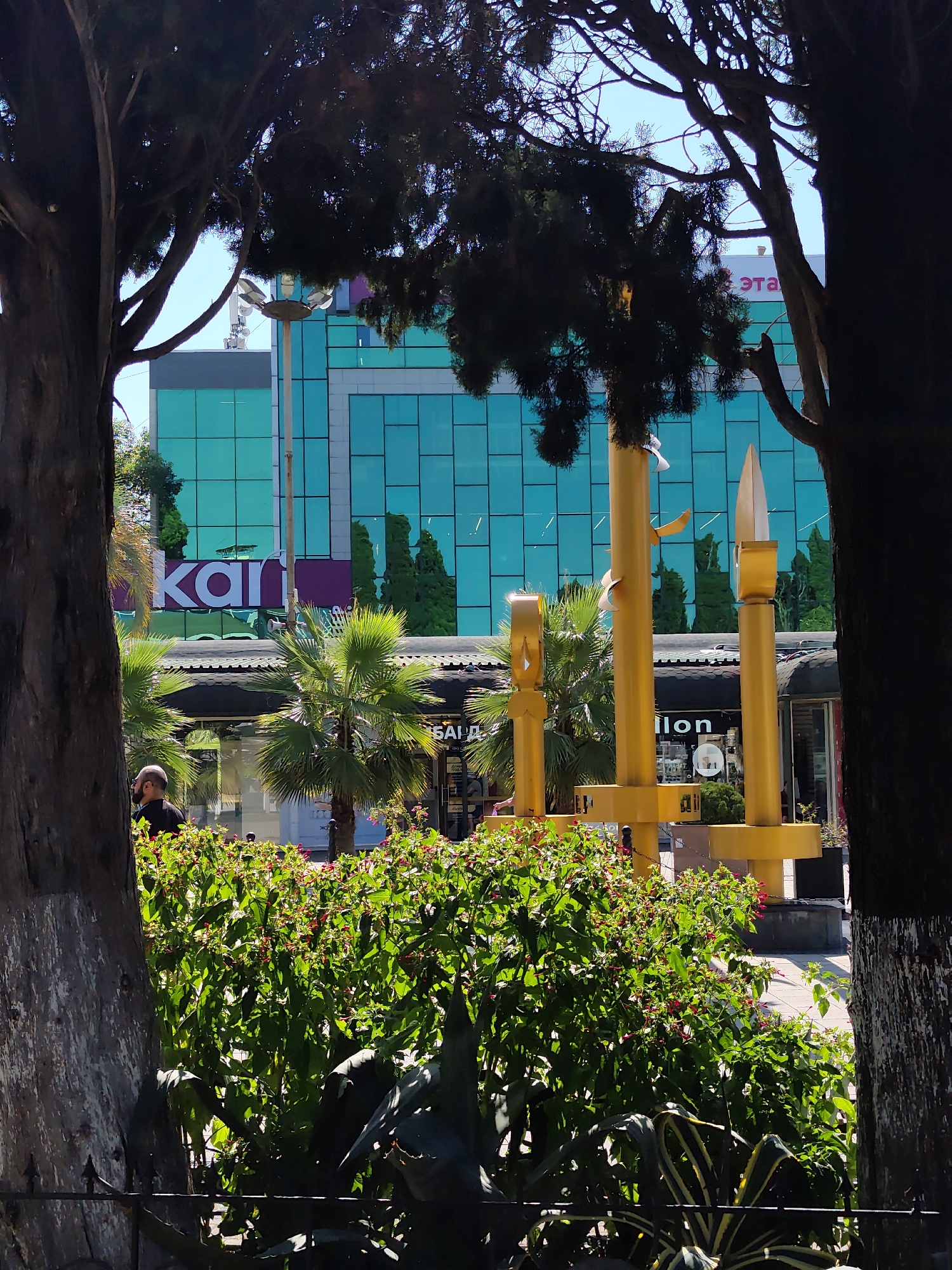 The image captures a street scene in Sochi, Russia, framed by the dark trunks and branches of two large trees. In the background, a modern building with a striking teal-colored glass facade dominates the view. Above the building, text in Russian appears, with "эта" (eta) visible. A large purple sign with white lettering, "kari," is displayed prominently on the building.
In the mid-ground, a row of palm trees and lush green bushes with small red flowers line the sidewalk. A distinctive yellow sculpture, resembling stylized candles or pillars, stands in front of the building. A sign above a storefront reads "ilon." A person in a black shirt and a cap is visible walking on the sidewalk. The sky above is clear and blue. The foreground features dark, dense foliage and a black metal fence.