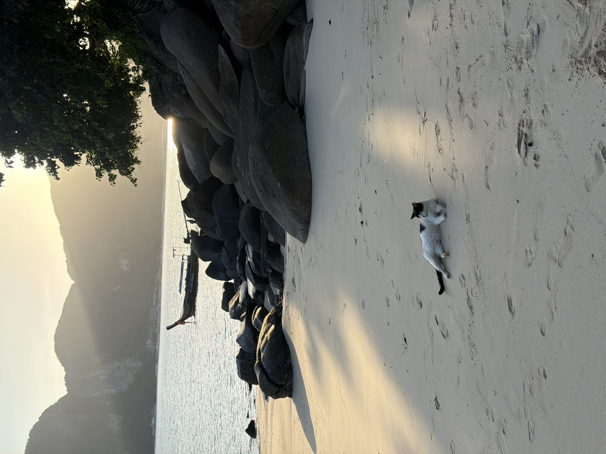A black and white cat is lying on a sandy beach in Ao Nang, Thailand. The cat is in the foreground of the image, and it is facing to the left. The beach is covered in sand, and there are footprints in the sand. In the background, there is a body of water, and there are mountains in the distance. The sun is setting, and there are rays of light coming through the trees.