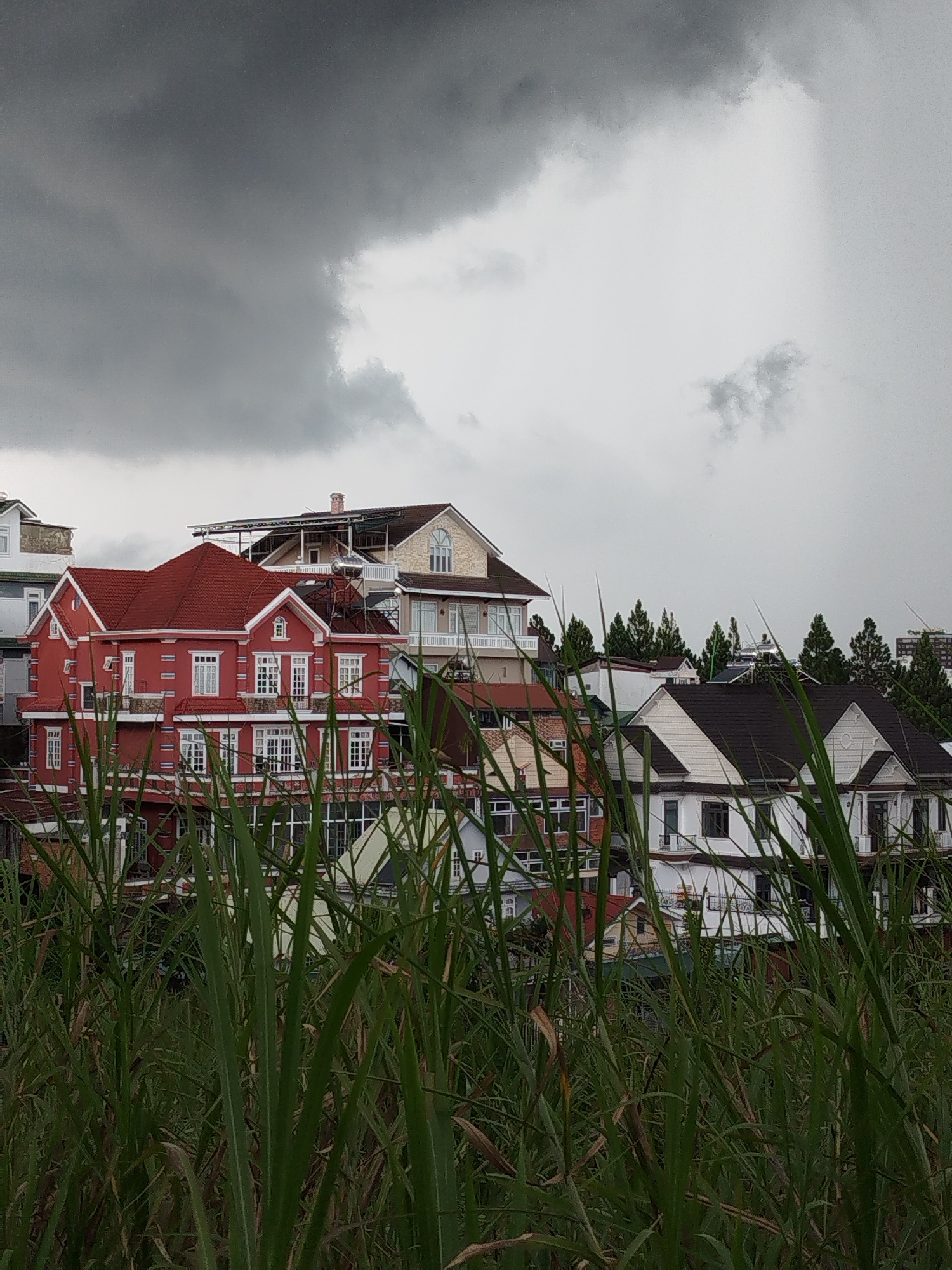 The image shows a hillside with several buildings in Da Lat, Vietnam. In the foreground, tall green reeds obscure the view of the buildings, partially blocking the lower portions of the structures. The primary building visible is a multi-story red house with white windows and a red tiled roof. Other buildings of varying colors and architectural styles are visible behind and to the side of the red house. The sky is overcast with dark grey clouds, indicating potentially rainy weather. No people are visible in the scene. The image composition suggests that the photograph was taken from a low vantage point, looking upwards towards the hillside.