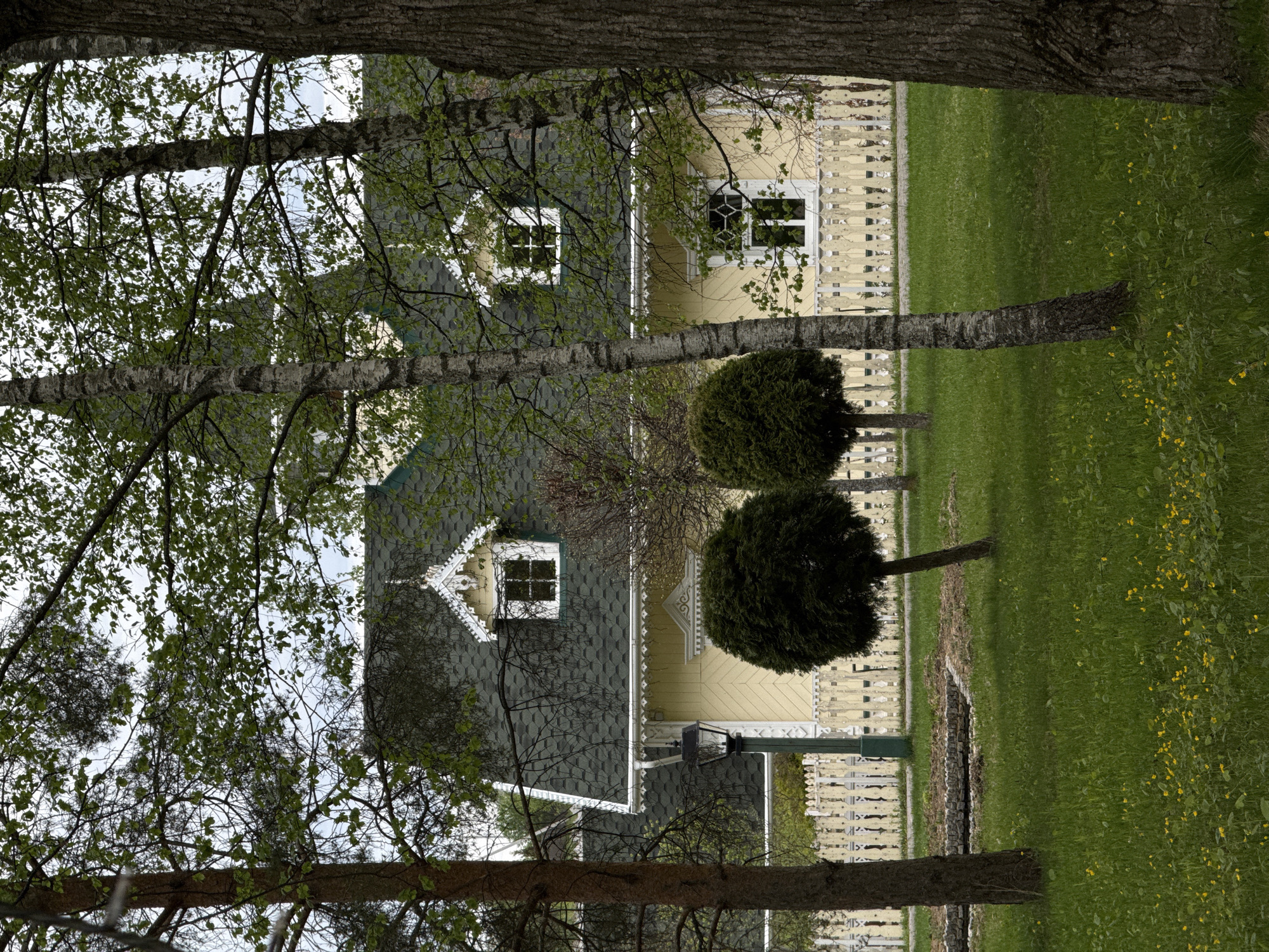 The image shows a two-story yellow house with a gray roof in Sapronovo, Russia. The house has white trim and a white picket fence. The house is seen through a frame of tree branches and trunks. The lawn is green and contains some yellow wildflowers. Two round bushes are next to the house. A lamppost is visible near the corner of the house.