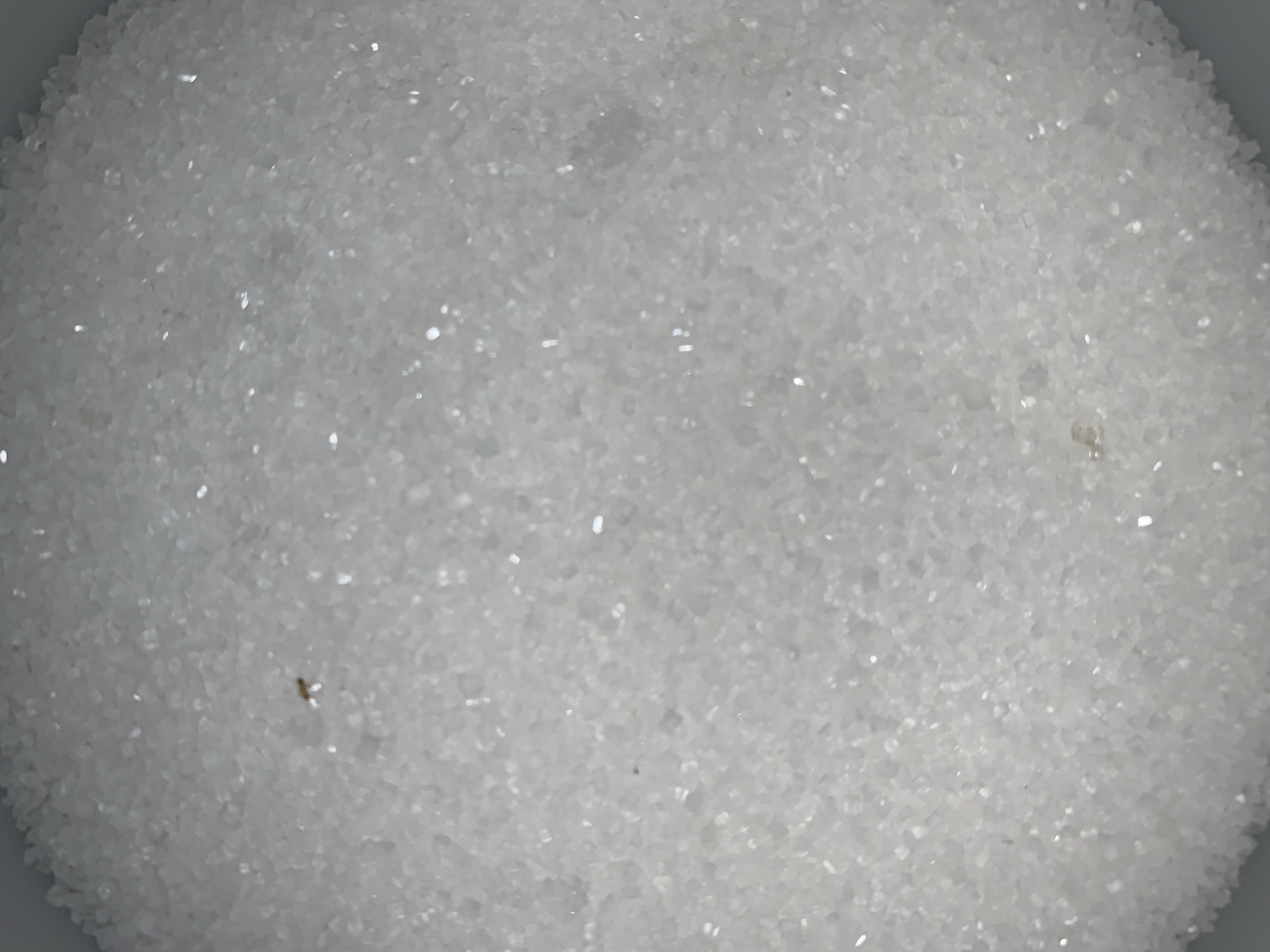 The image shows a close-up of granular white sugar filling the frame. A small insect is visible near the bottom left. The surface is textured and reflective. The specific location of Rafin Par, Nigeria, is irrelevant as the image is a close-up.