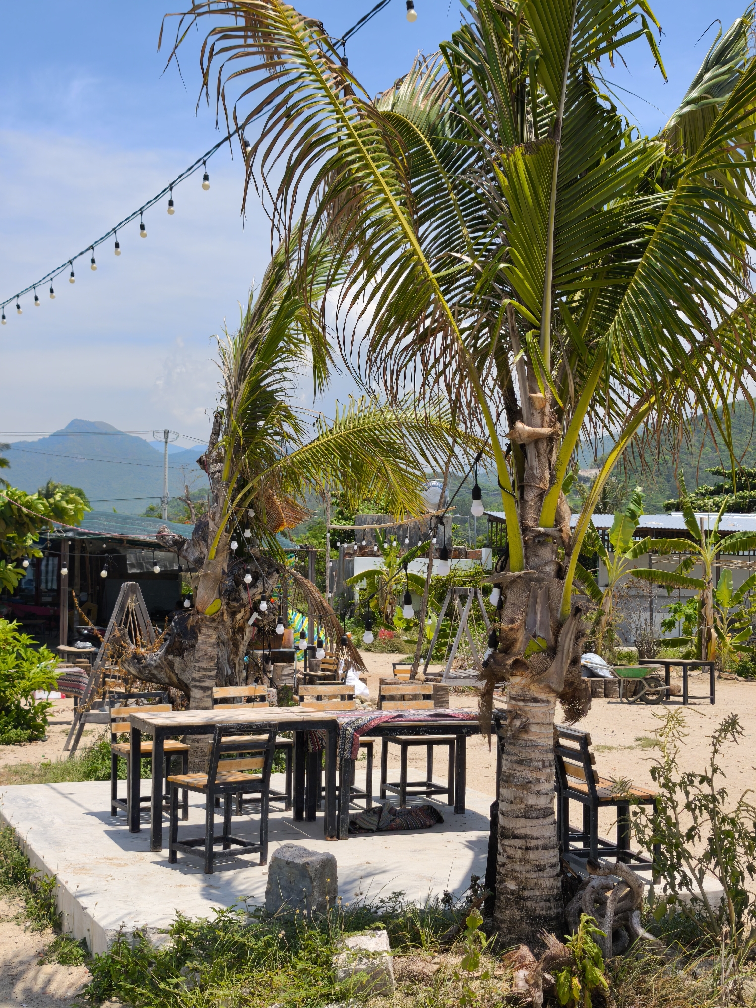 The image depicts an outdoor seating area with several tables and chairs situated on a concrete platform. Two prominent palm trees stand near the tables, one of which has a weathered trunk and is adorned with numerous string lights. In the background, there are more tables and chairs, as well as some buildings and lush vegetation, including banana trees. Distant, misty mountains are visible under a clear blue sky with scattered clouds. The ground is sandy, characteristic of a beach or coastal location. String lights are also visible in the background, extending across the scene. There are no people or animals present in the image. The scene appears to be a relaxed, open-air dining or relaxation spot in Vĩnh Lương, Vietnam.